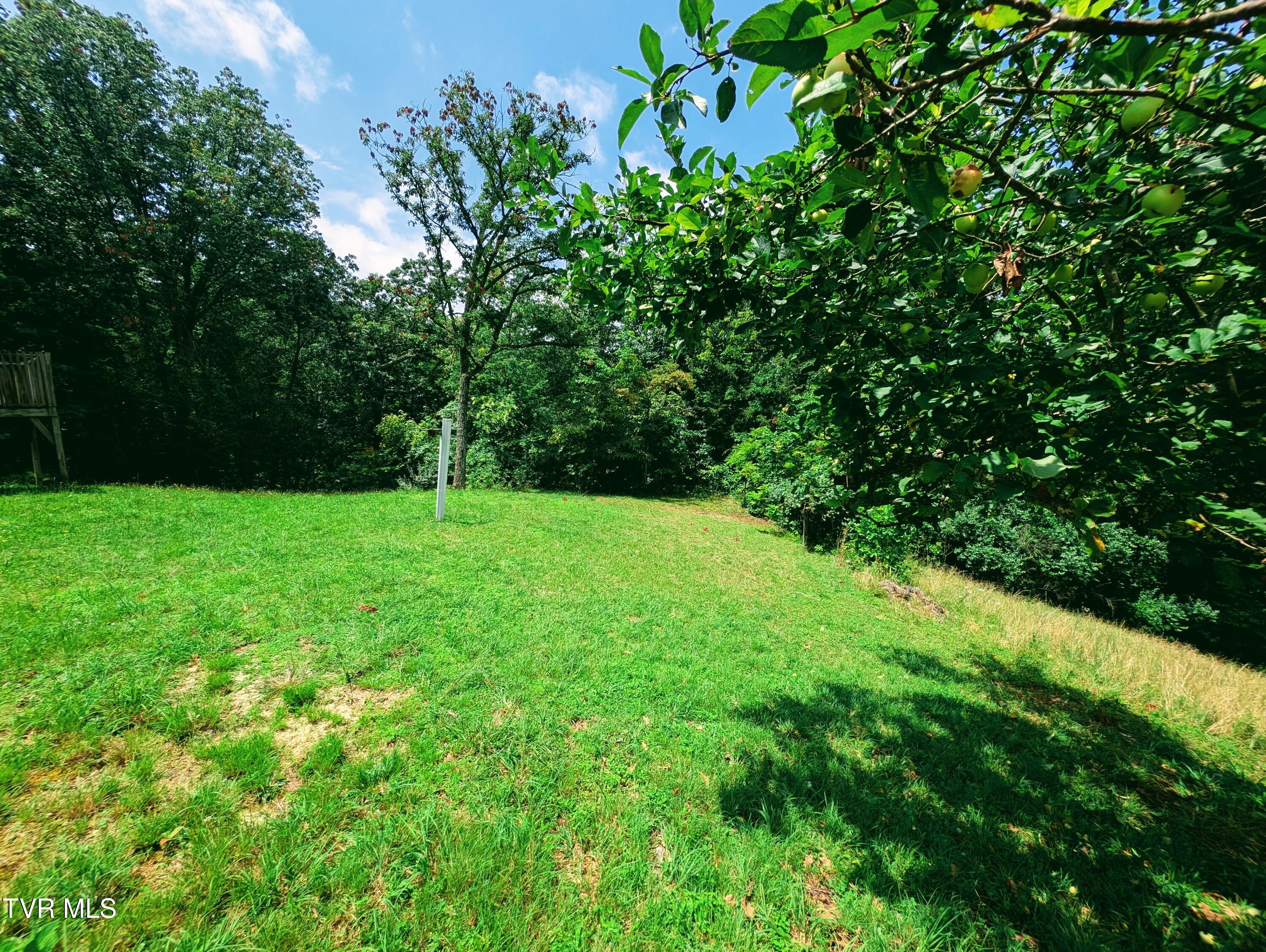 4398 Brushy Ridge Road Nora, VA 24272 - Photo 9 of 28 1000014666