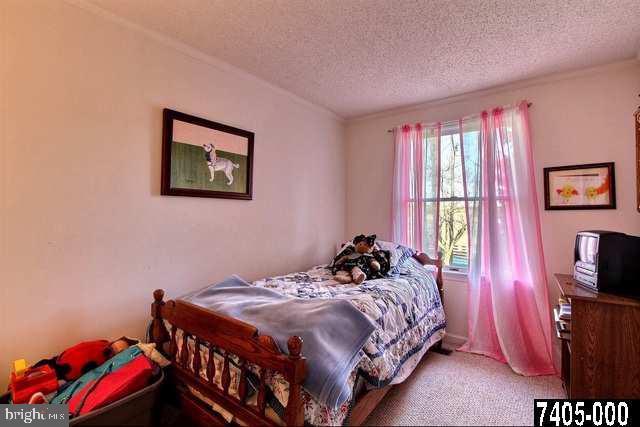 4293 Steltz Road New Freedom, PA 17349 - Photo 13 of 24