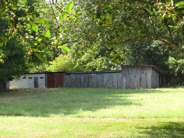 105 Adams Loop Tennessee Ridge, TN 37178 - Photo 19 of 20 a view of a back yard