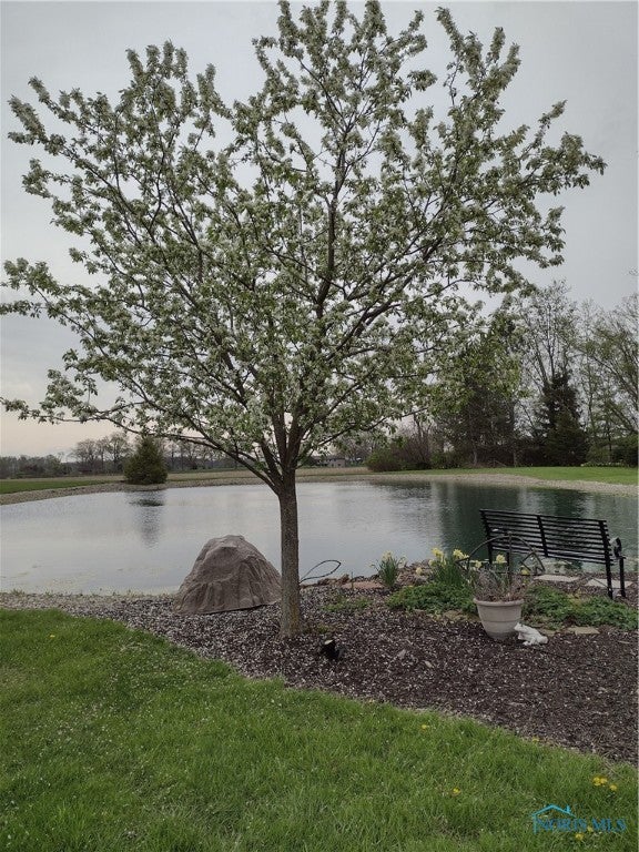 124 Country Club Road Bryan, OH 43506 - Photo 10 of 49 Relaxing view!