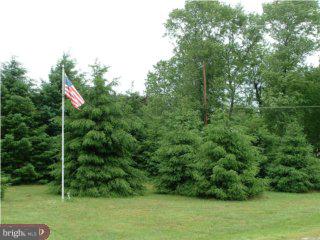 743 Rattling Run Road Mickleton, NJ 08056 - Photo 6 of 6