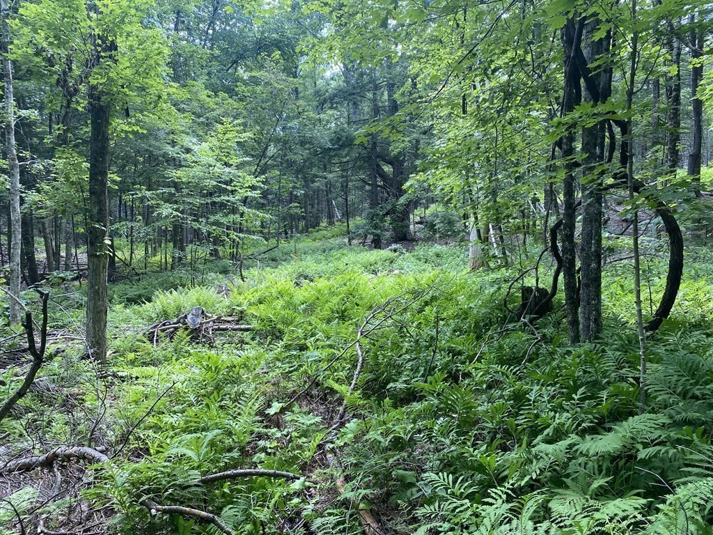 Lot 2 Howes Road Shelburne Falls, MA 01370 - Photo 13 of 14 Gallery Image 13