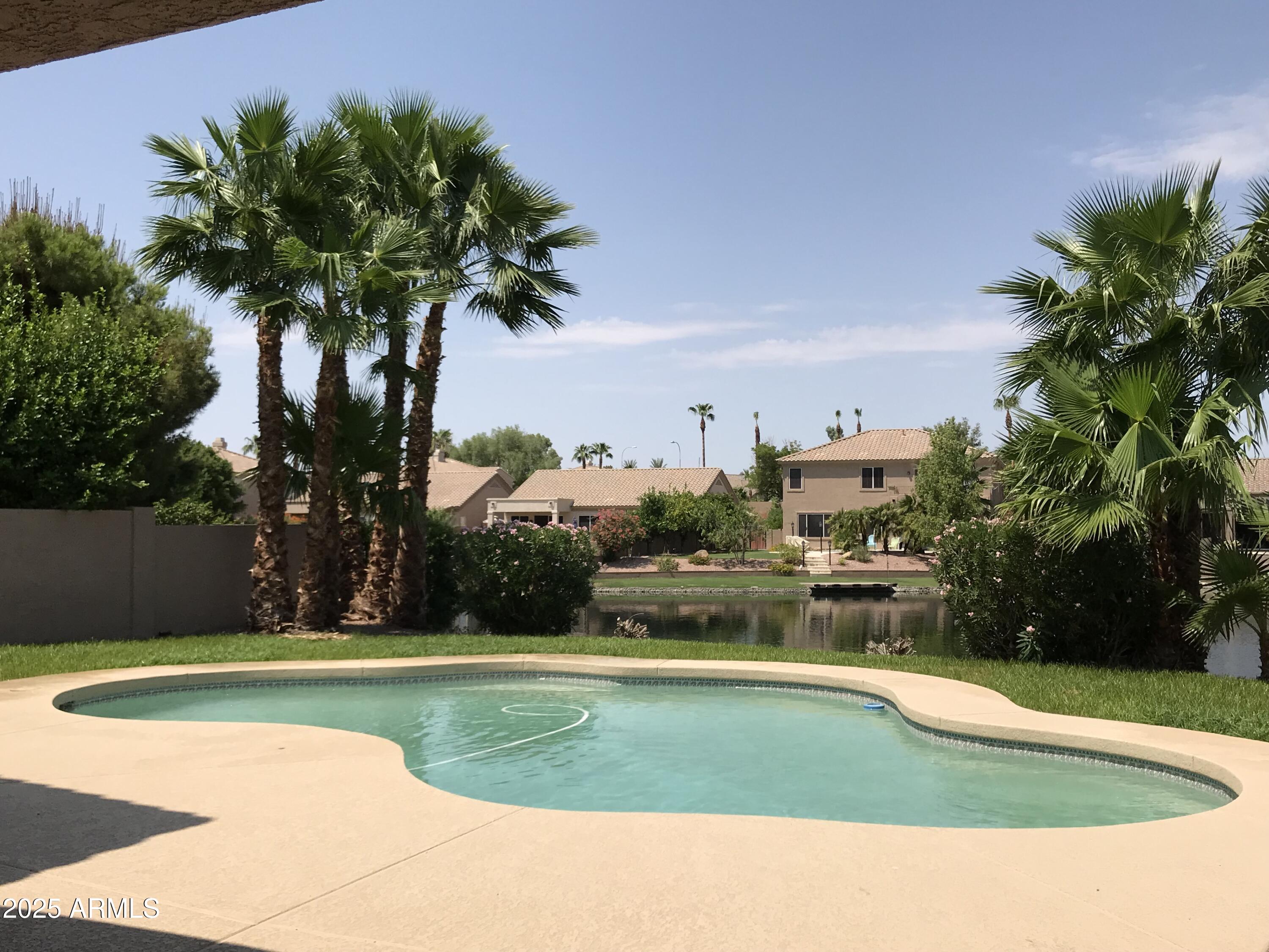 3670 South Heath Way Chandler, AZ 85248 - Photo 1 of 29 a view of a swimming pool and trees in the background