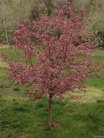 $620,000 | 299 West Jamison Circle, Unit 4, Littleton, CO 80120