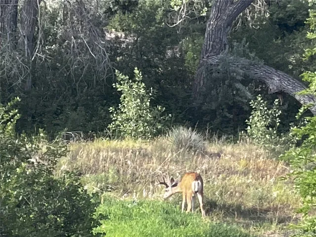 $620,000 | 299 West Jamison Circle, Unit 4, Littleton, CO 80120