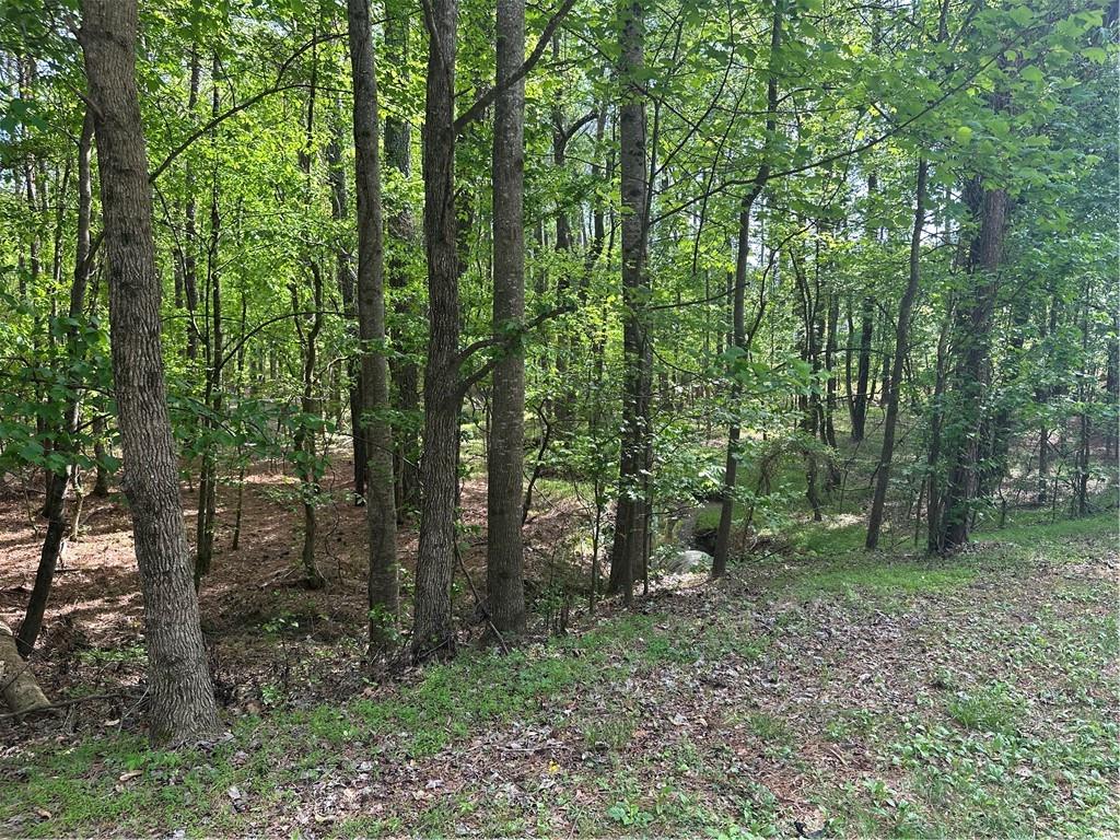 106 Nelson Boulevard Northwest Rome, GA 30165 - Photo 12 of 14 a view of a forest with trees in the background