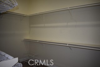 1746 Dalea Way Beaumont, CA 92223 - Photo 18 of 35 a close view of closet