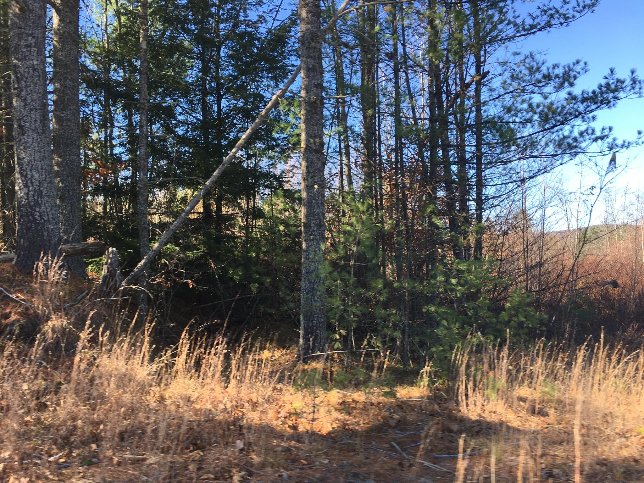 11-acres Bridgton Road East Baldwin, ME 04024 - Photo 6 of 6 CCDAA233-FED6-4801-9CAD-0D6BD3B645D1
