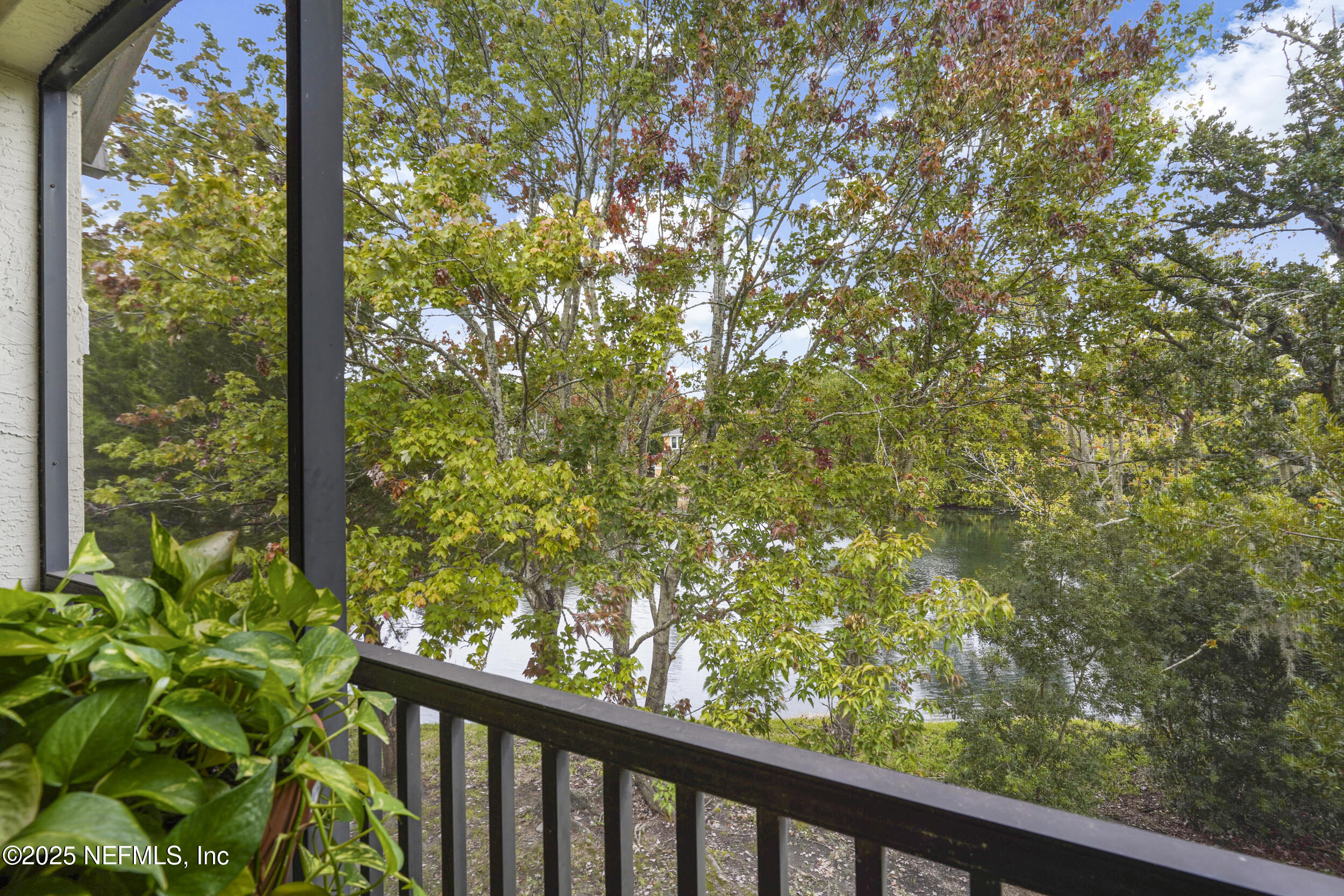 1125 Vista Cove Road St. Augustine, FL 32084 - Photo 23 of 62 a view of a garden from a window