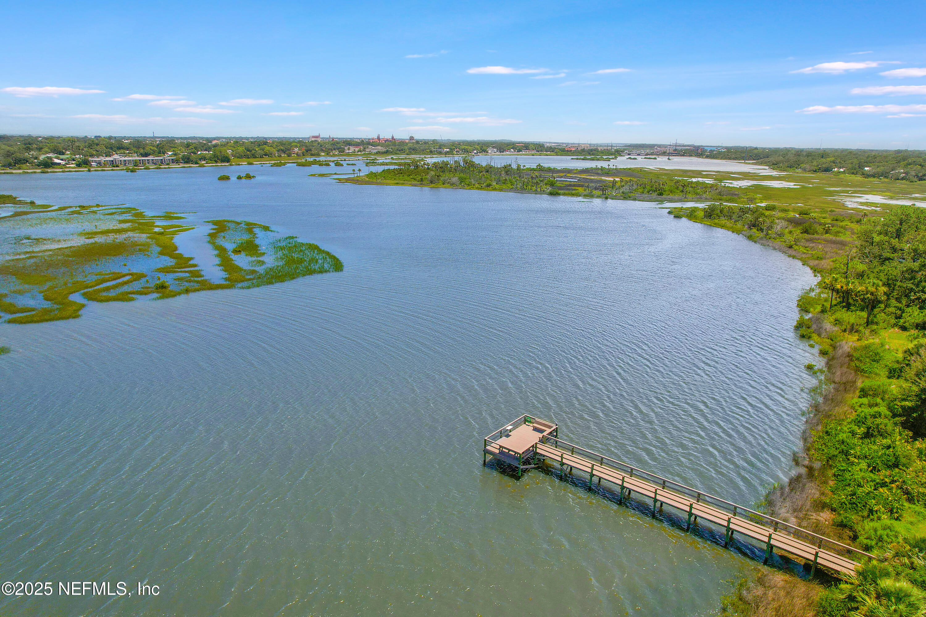 1125 Vista Cove Road St. Augustine, FL 32084 - Photo 4 of 62 Dock