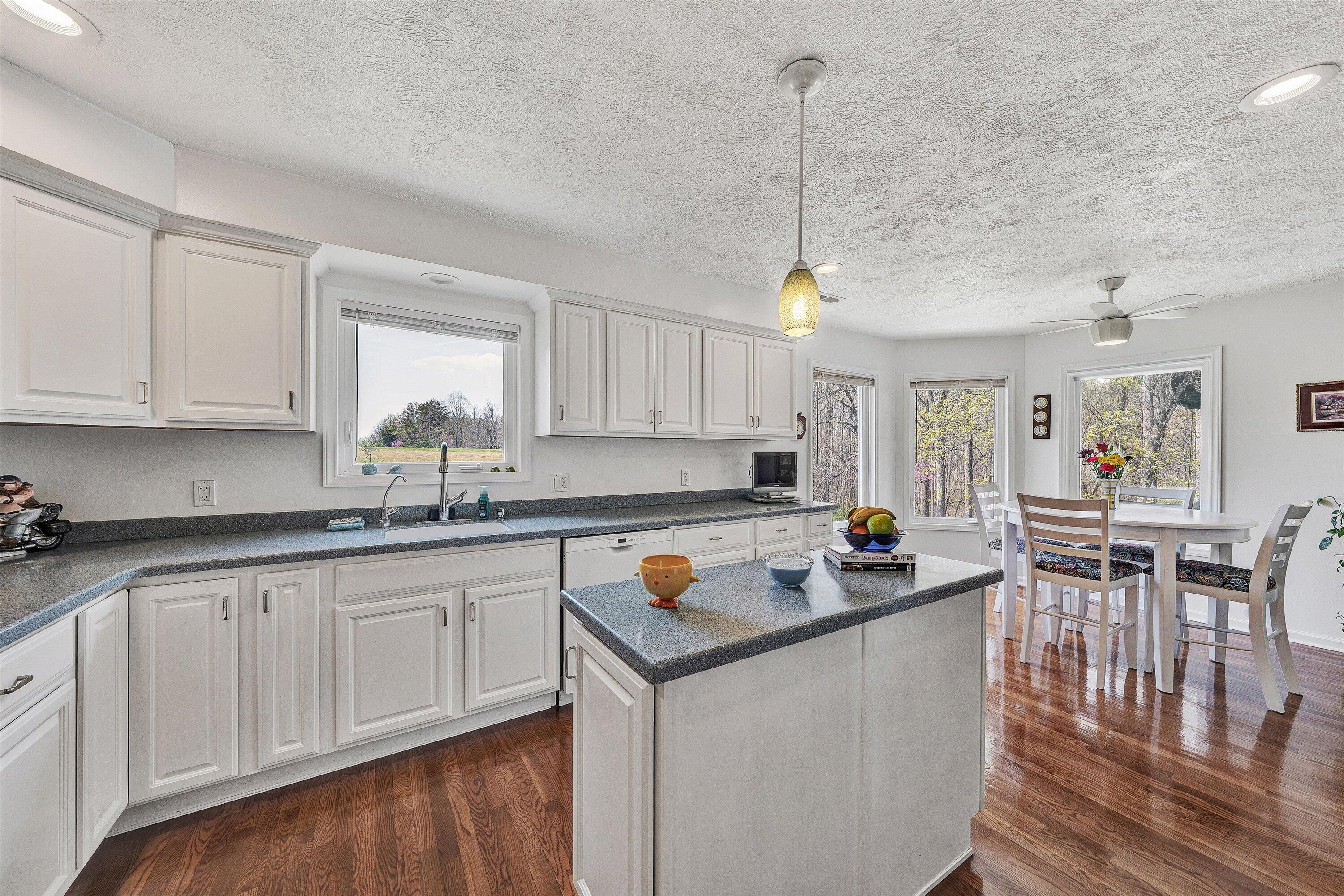 301 Indian Ridge Drive Moneta, VA 24121 - Photo 12 of 73 13-DSC00261