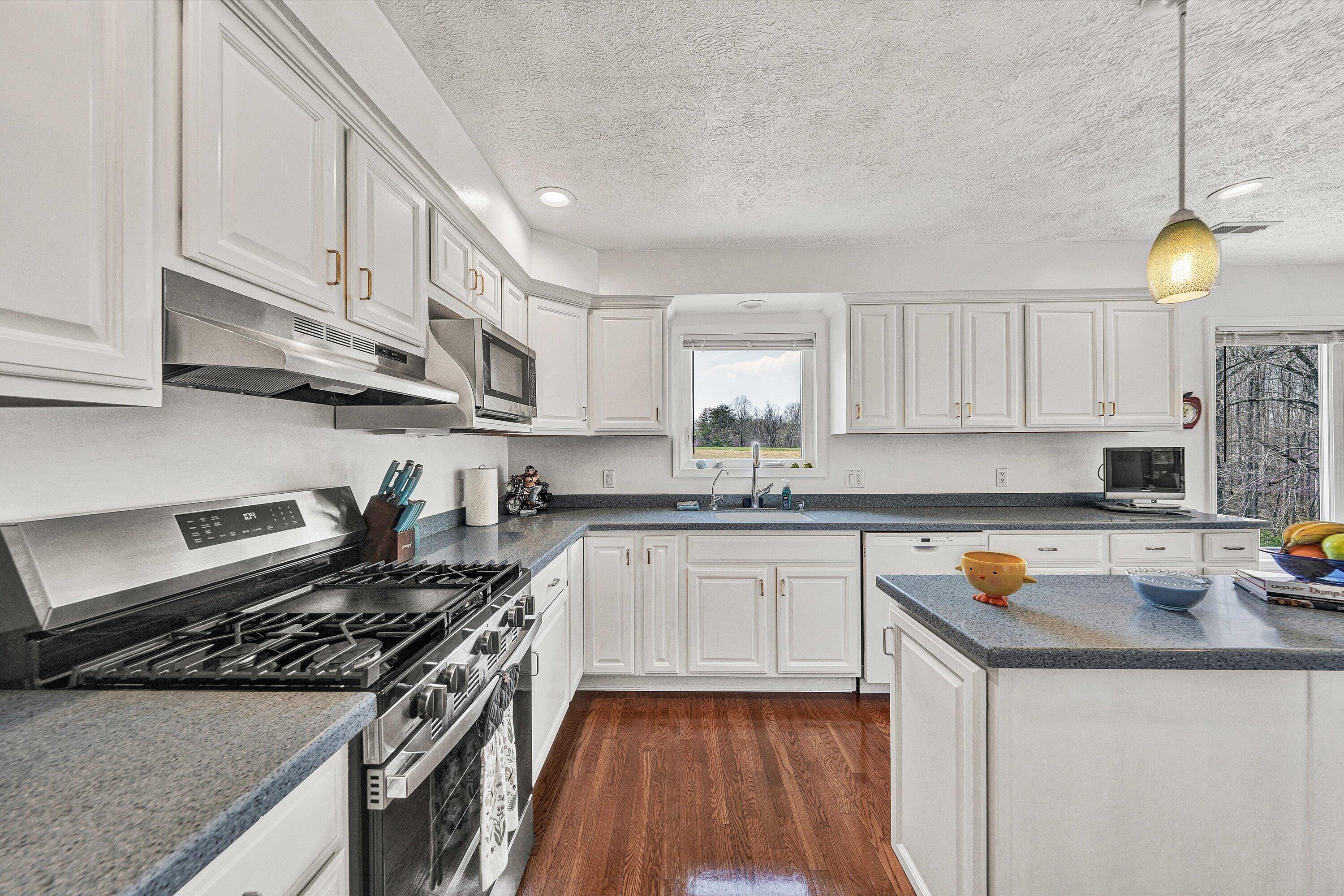 301 Indian Ridge Drive Moneta, VA 24121 - Photo 13 of 73 14-DSC00264