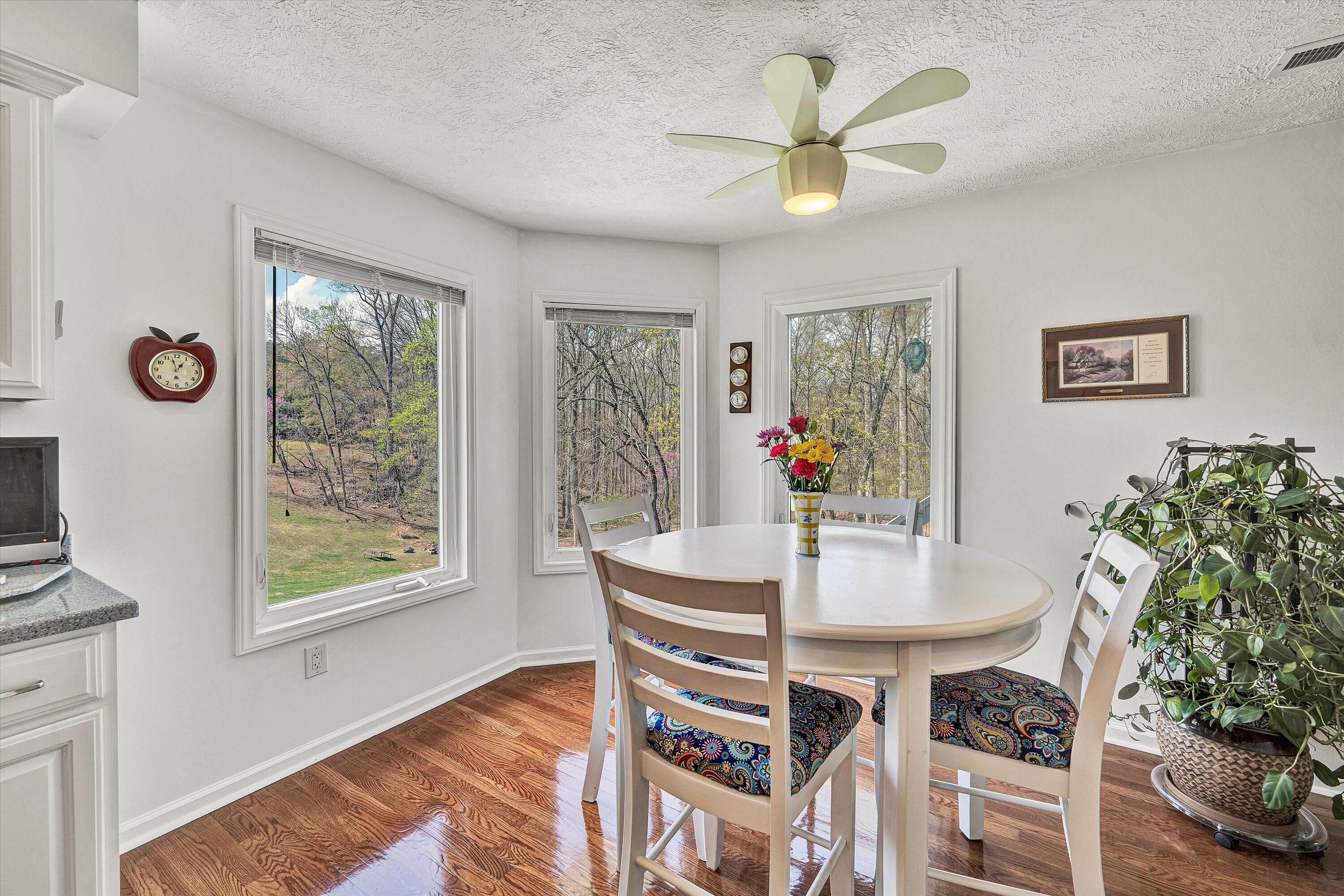 301 Indian Ridge Drive Moneta, VA 24121 - Photo 16 of 73 17-DSC00273-Edit