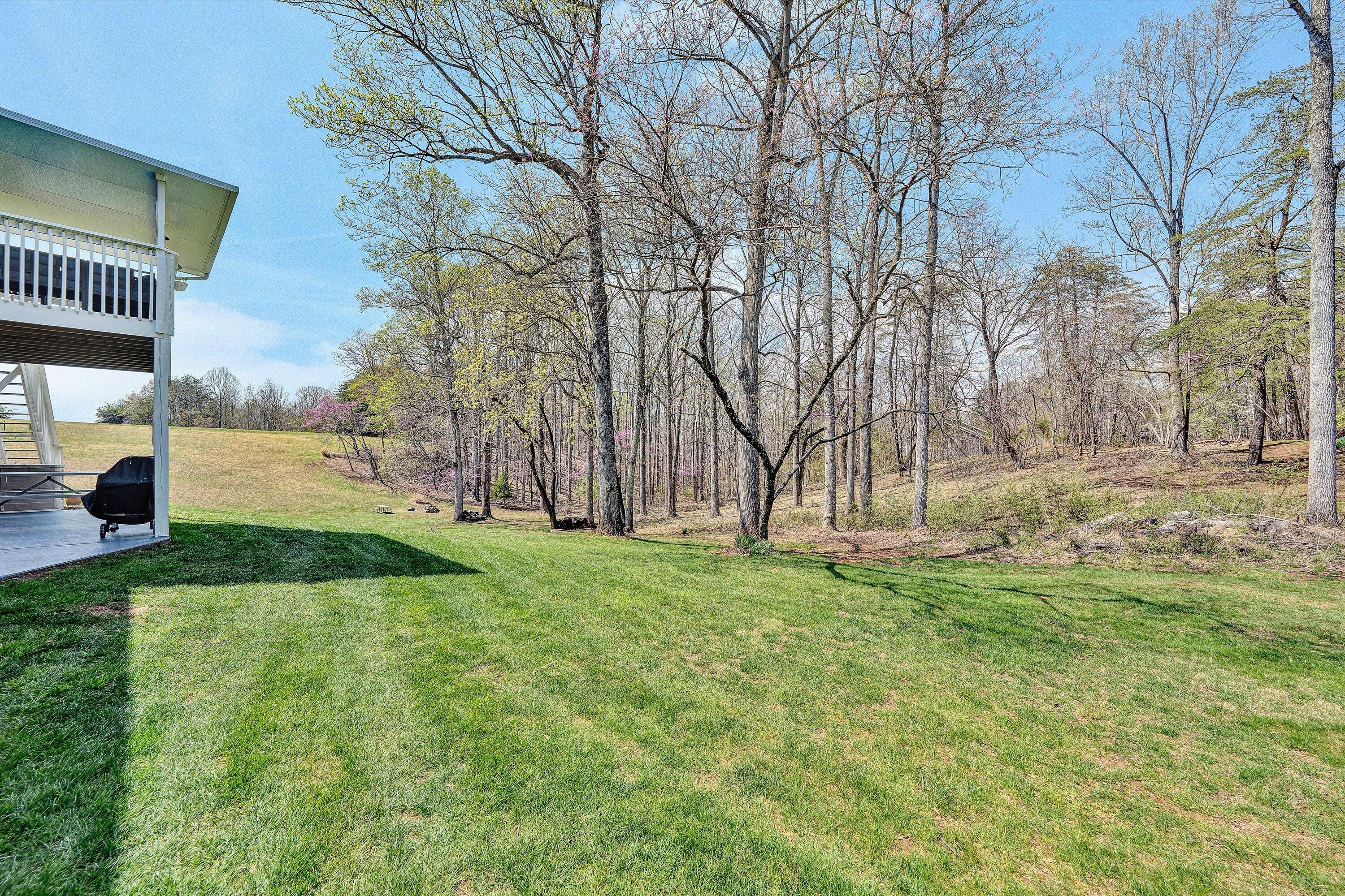 301 Indian Ridge Drive Moneta, VA 24121 - Photo 48 of 73 48-DSC00366