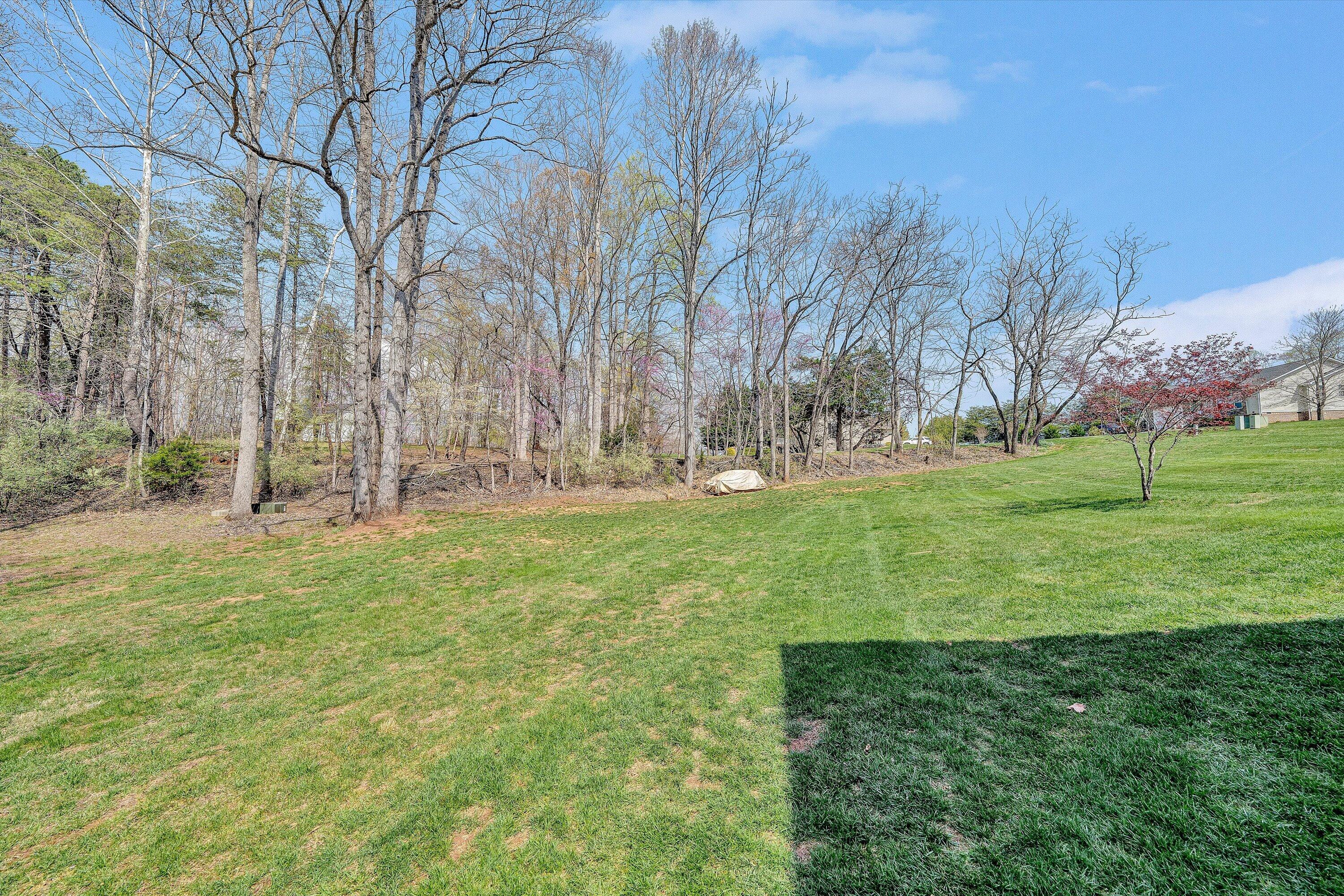 301 Indian Ridge Drive Moneta, VA 24121 - Photo 49 of 73 49-DSC00369