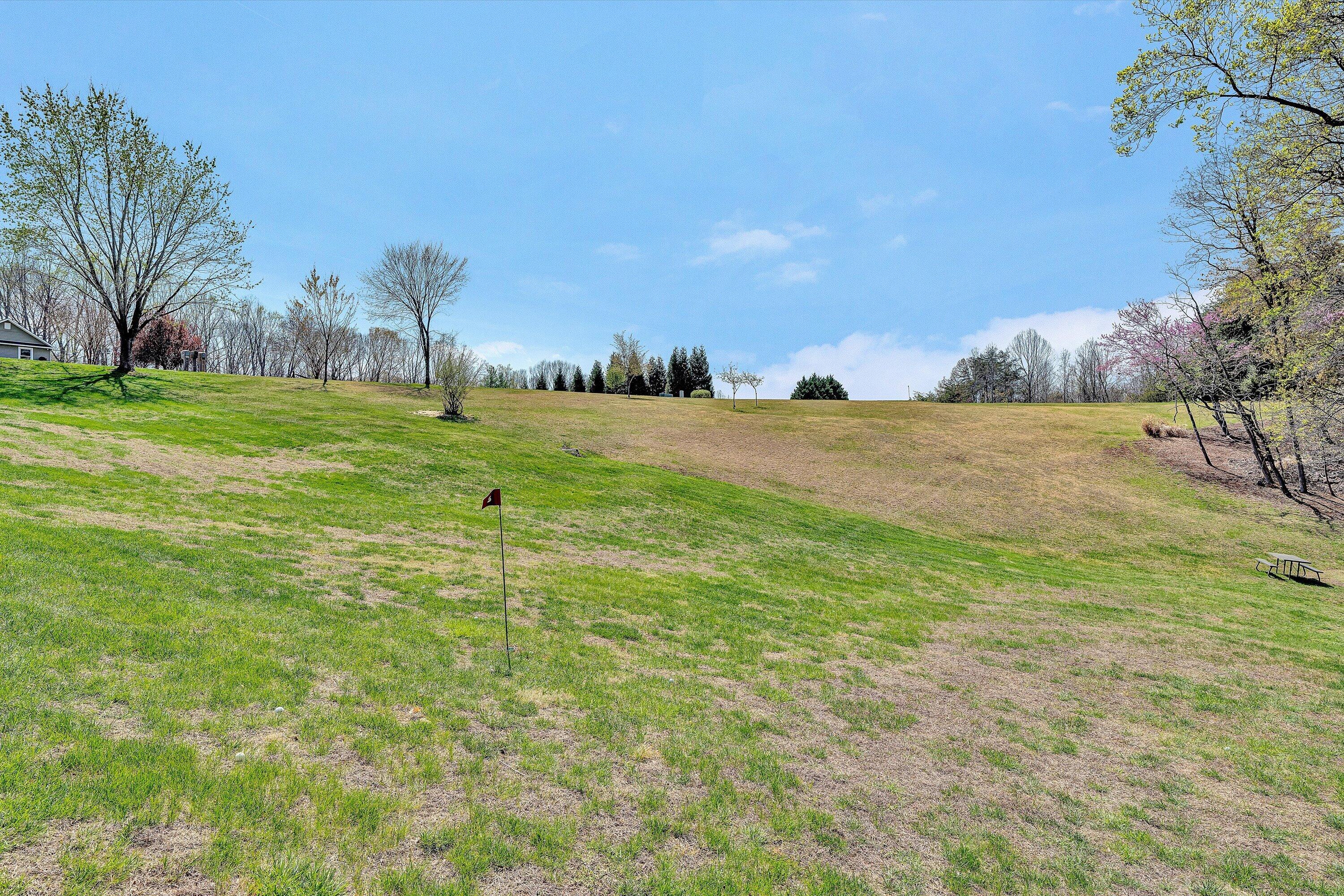 301 Indian Ridge Drive Moneta, VA 24121 - Photo 51 of 70 53-DSC00378