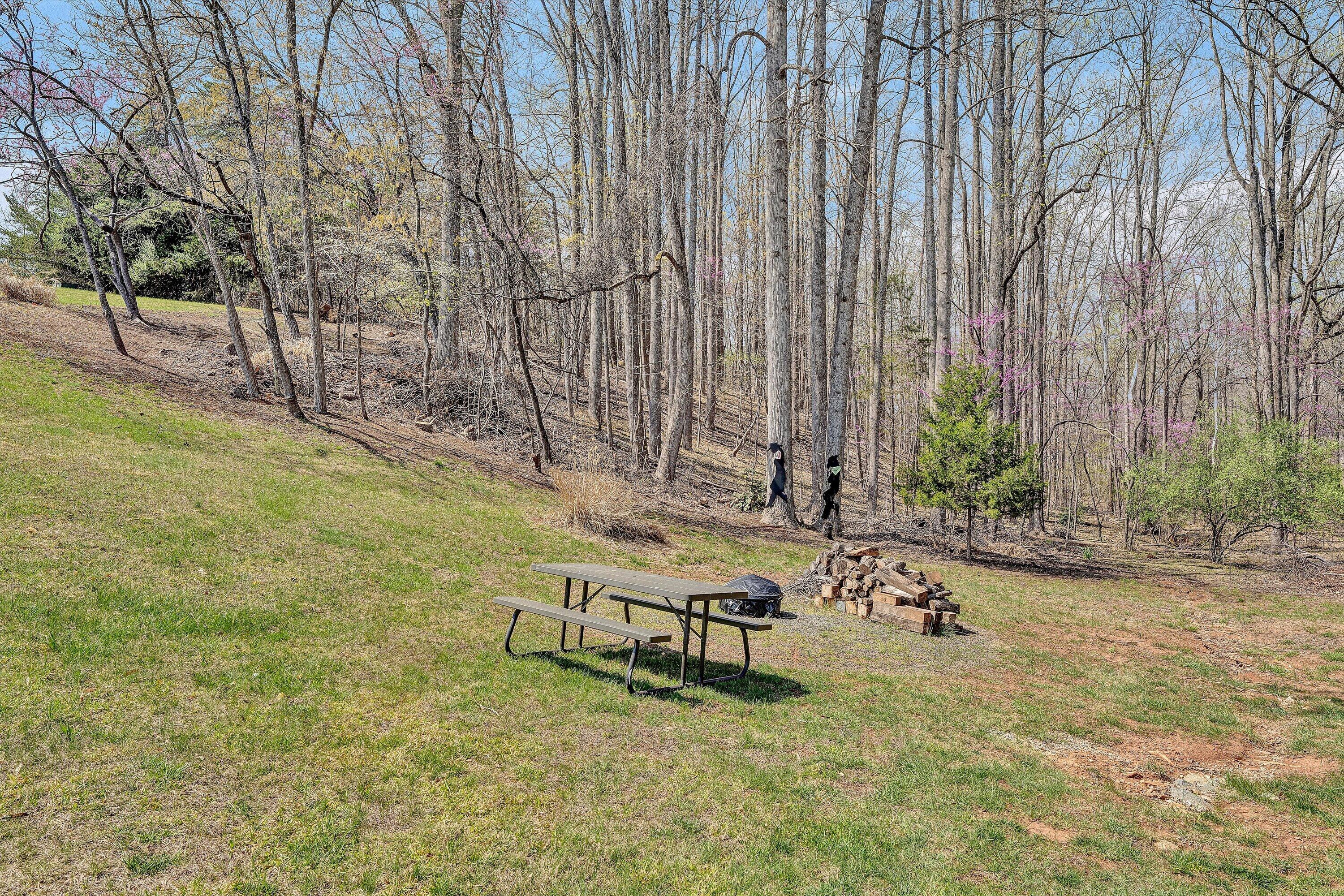 301 Indian Ridge Drive Moneta, VA 24121 - Photo 52 of 70 54-DSC00381
