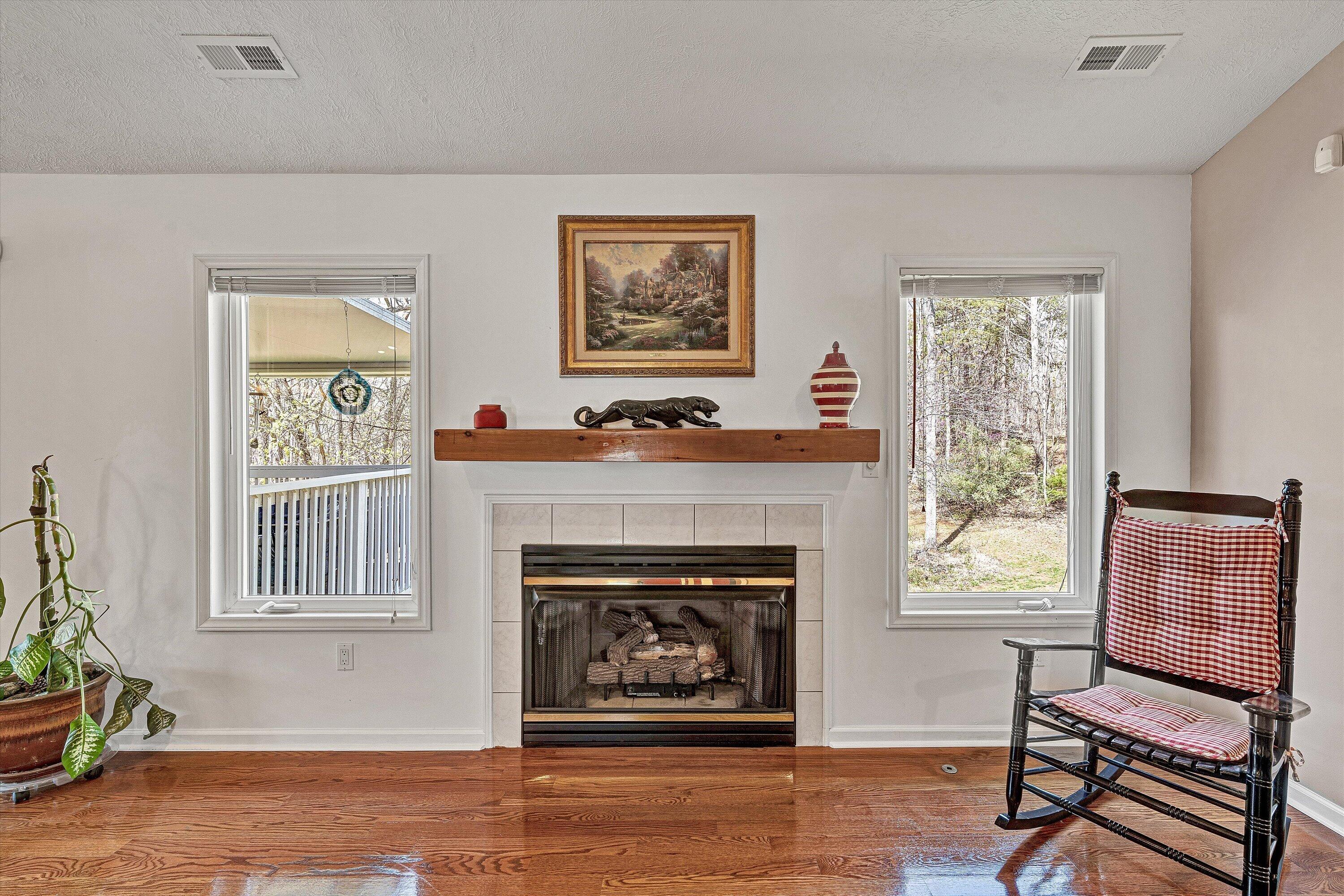 301 Indian Ridge Drive Moneta, VA 24121 - Photo 8 of 73 09-DSC00249