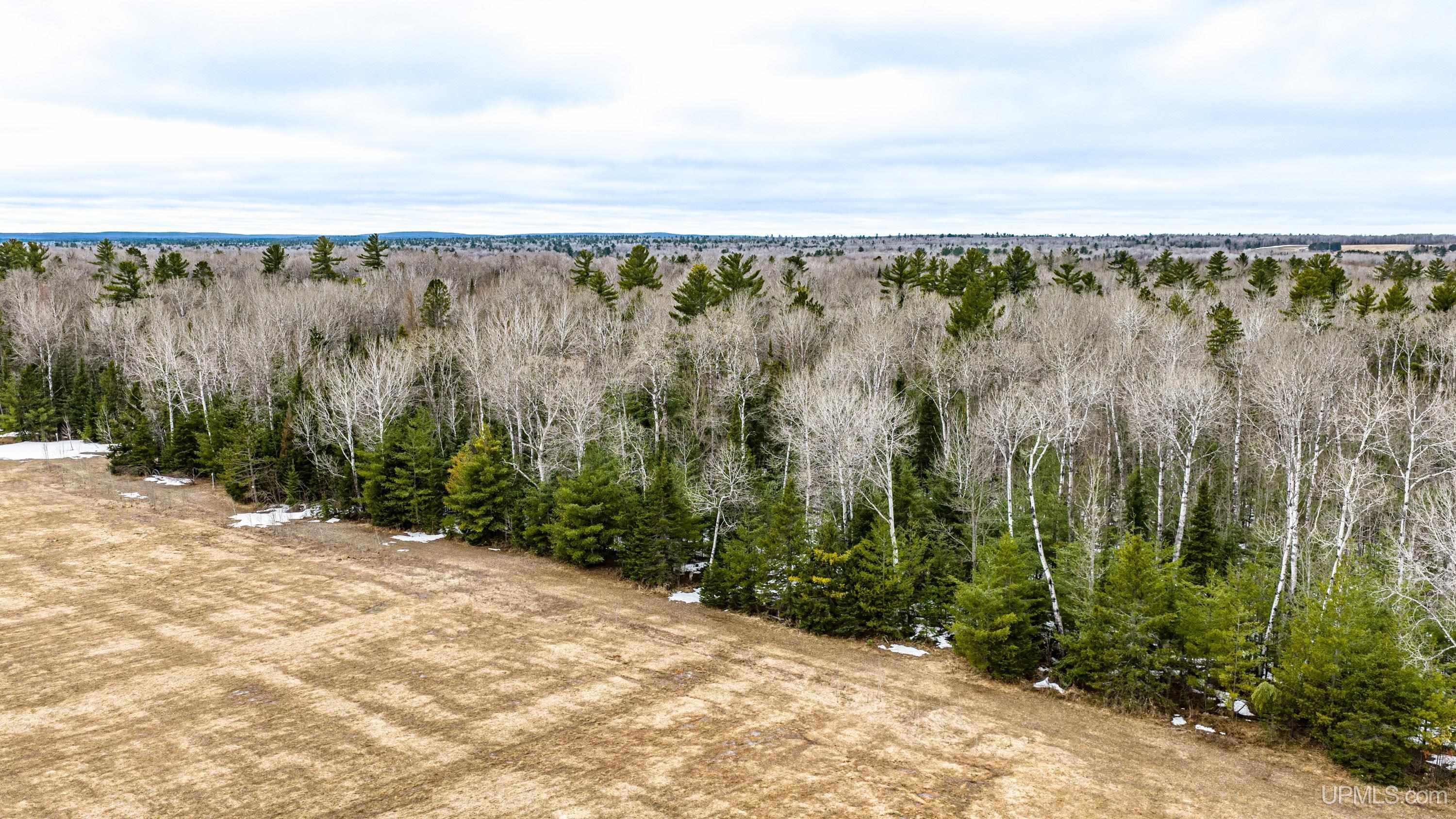 Tbd Off Of Choate Road, Unit NO INSURABLE LEGAL ACCESS Ewen, MI 49925 - Photo 12 of 30