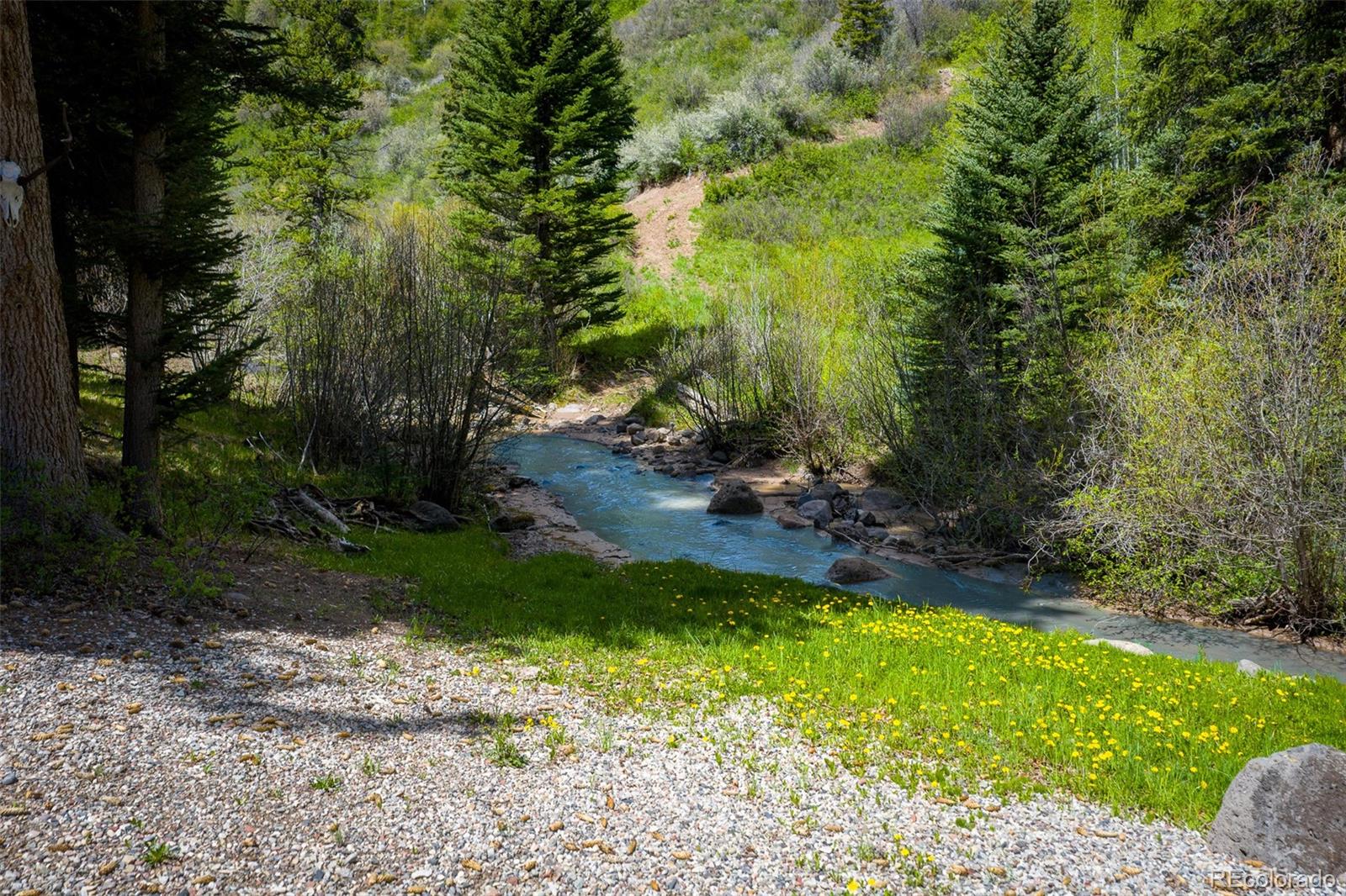 12123 County Road New Castle, CO 81647 - Photo 8 of 30