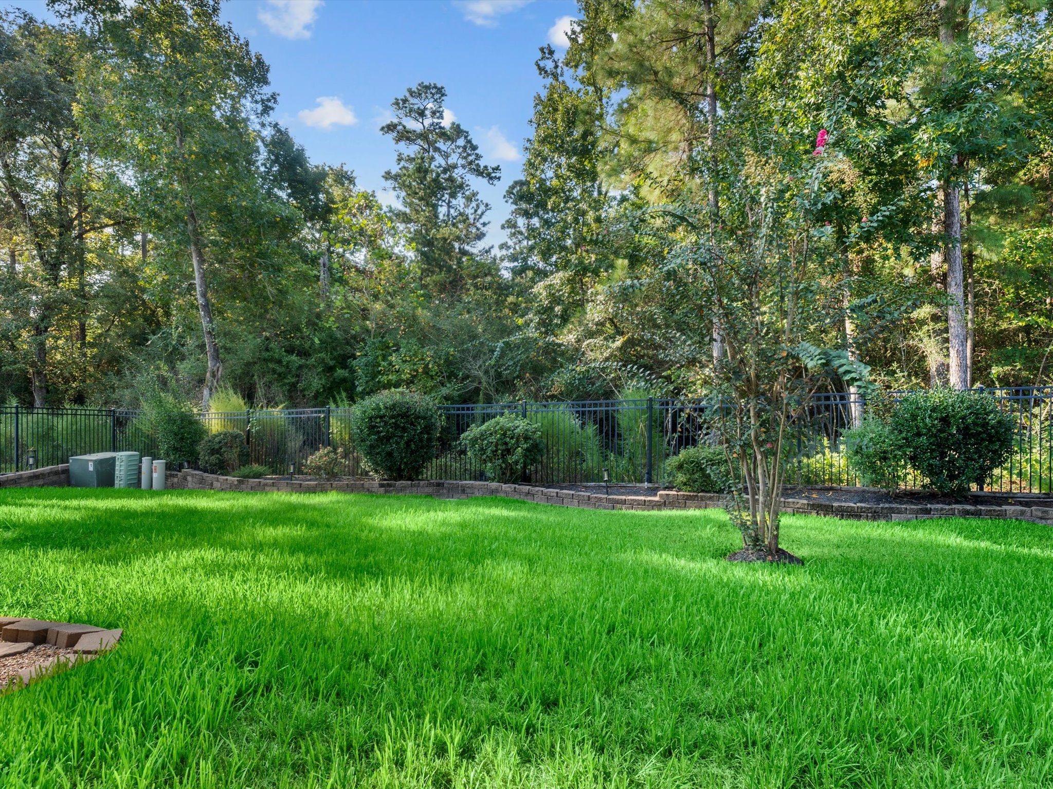 4746 Misty Ranch Drive Spring, TX 77386 - Photo 47 of 49 No back neighbors and a wooded backdrop create a private, serene backyard retreat.