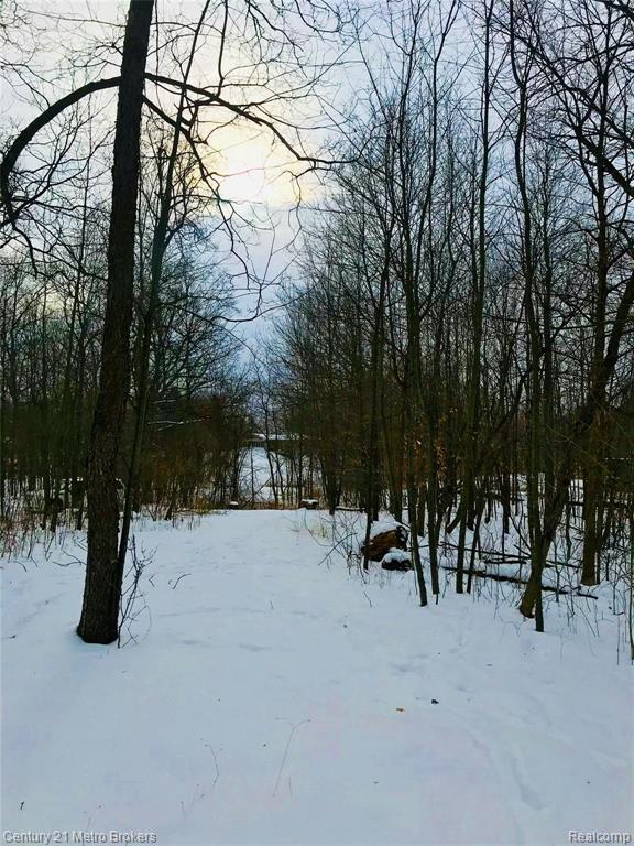 4493 Gregory Road Goodrich, MI 48438 - Photo 11 of 11