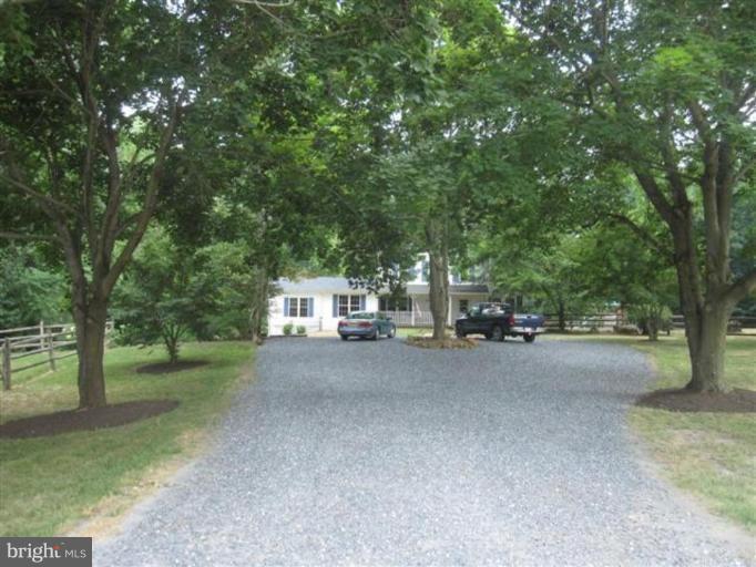 20515 Bucklodge Road Boyds, MD 20841 - Photo 2 of 28 Tree lined driveway