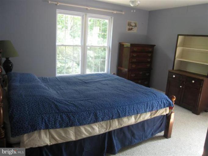 20515 Bucklodge Road Boyds, MD 20841 - Photo 15 of 28 Bedroom #1