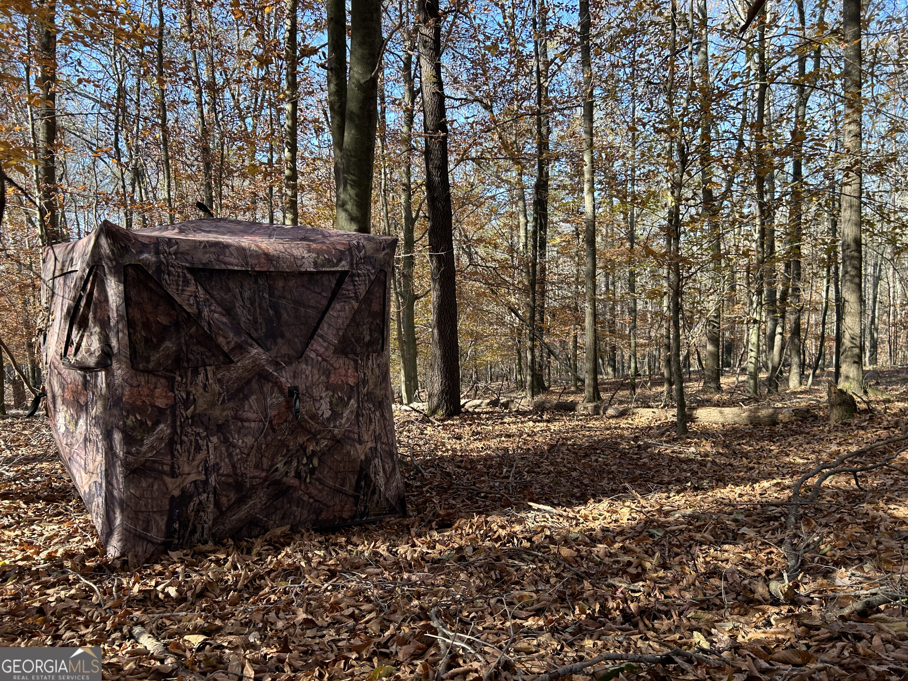 0 Dove Hill Road Royston, GA 30662 - Photo 2 of 19 a view of a yard with trees