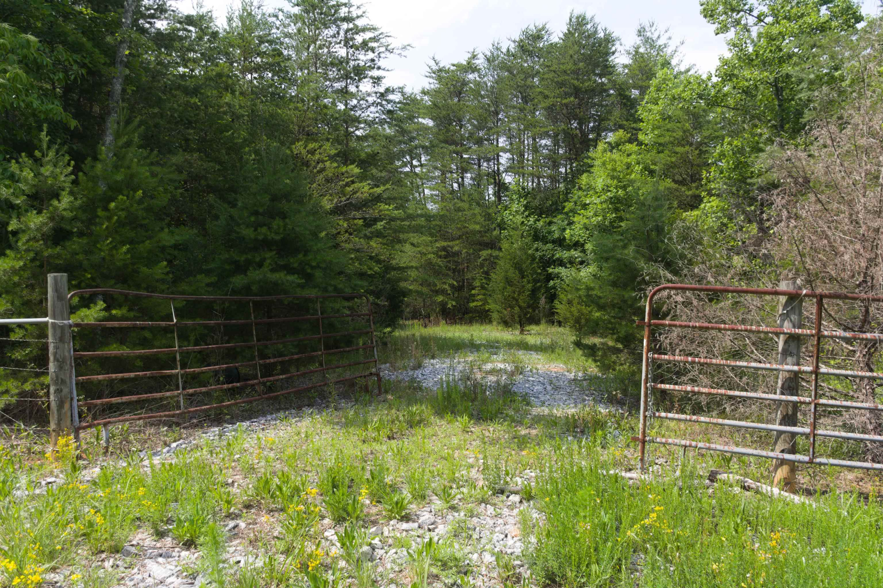 Fox Winkler Road Lenoir, NC 28645 - Photo 6 of 16 Photo 6