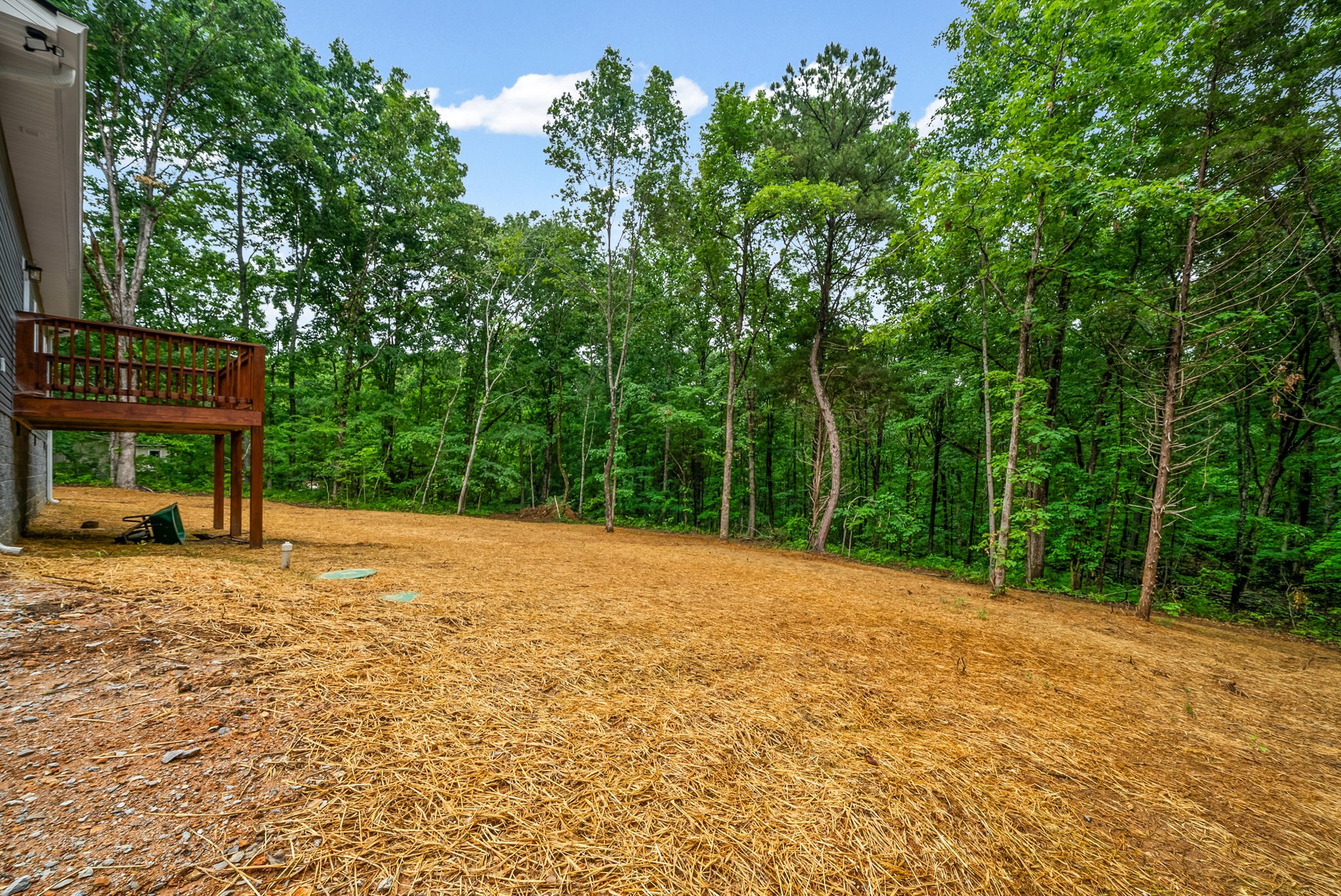 690 Brazzle Road Waverly, TN 37185 - Photo 29 of 35 a backyard of a house with trampoline