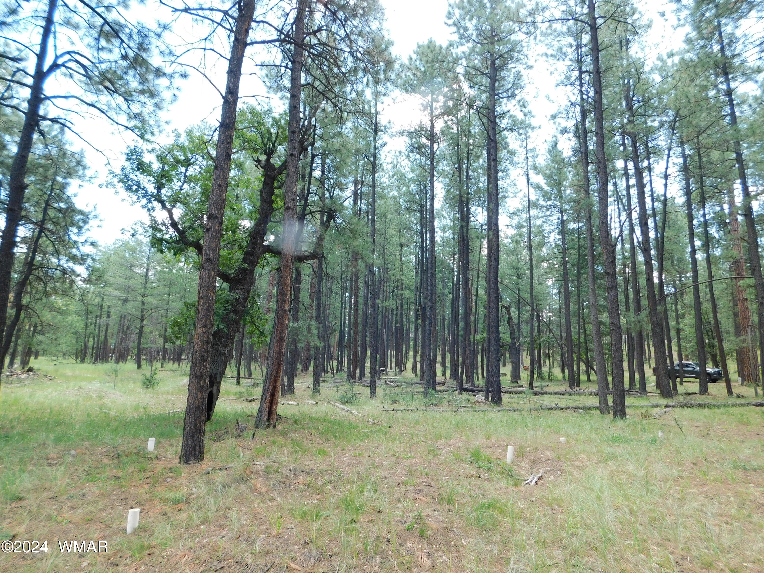 9 A N2266 Alpine, AZ 85920 - Photo 9 of 11 PINES 5