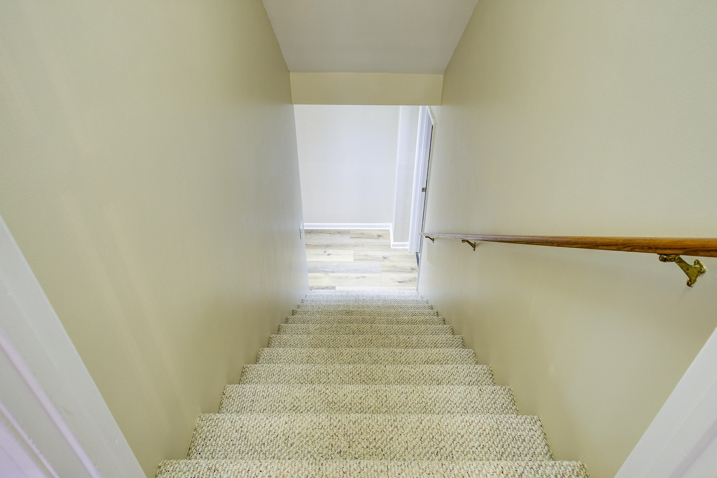 105 Reed Circle Johnson City, TN 37601 - Photo 43 of 76 Reed-53