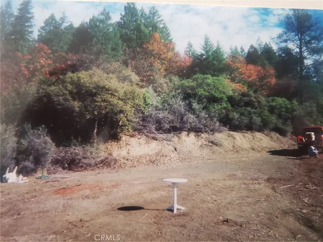 a view of yard with trees in the background
