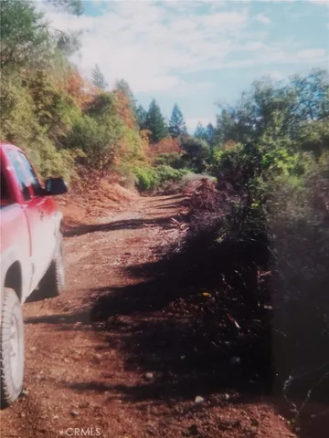 a view of a yard of the house