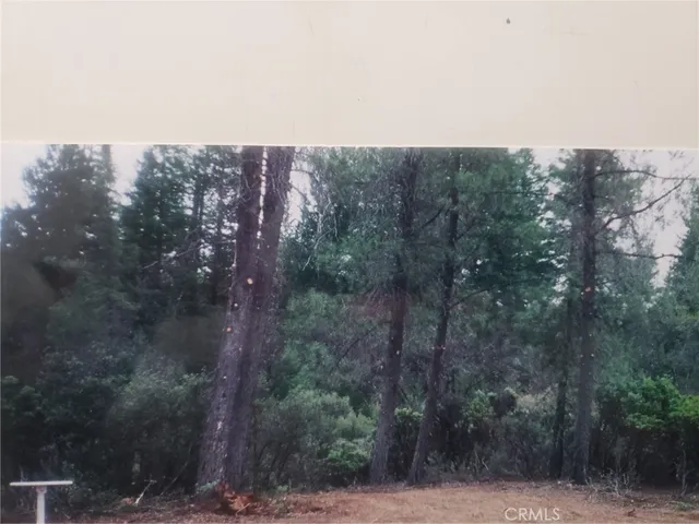 a view of a city with lush green forest