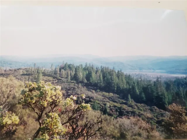 a view of a large yard with lots of green space