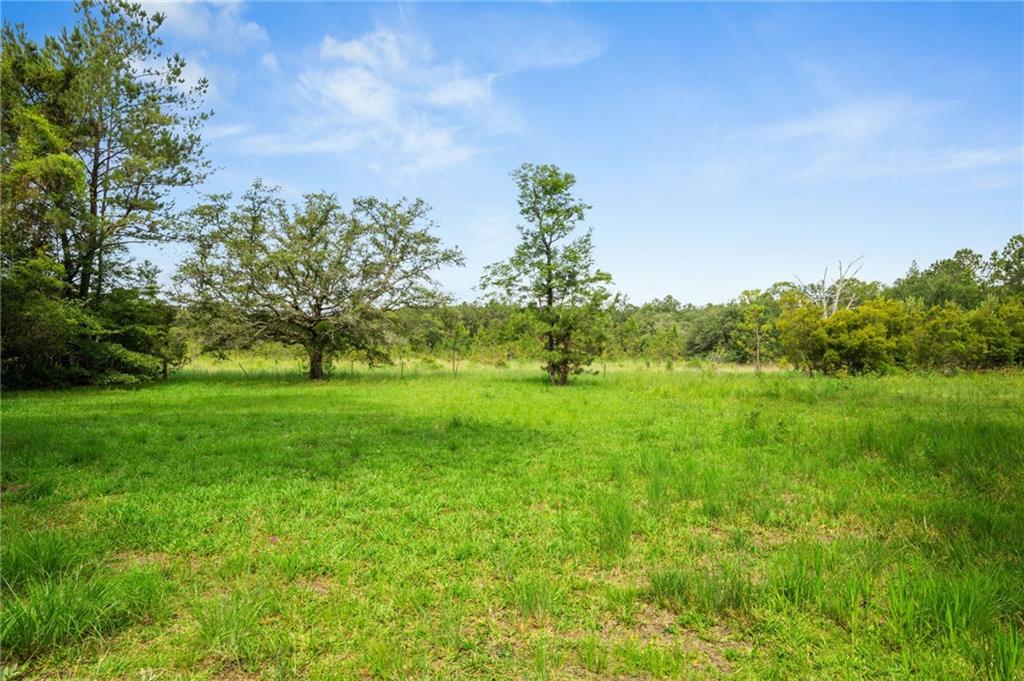 31818 Putt Moran Loop Lacombe, LA 70445 - Photo 11 of 19