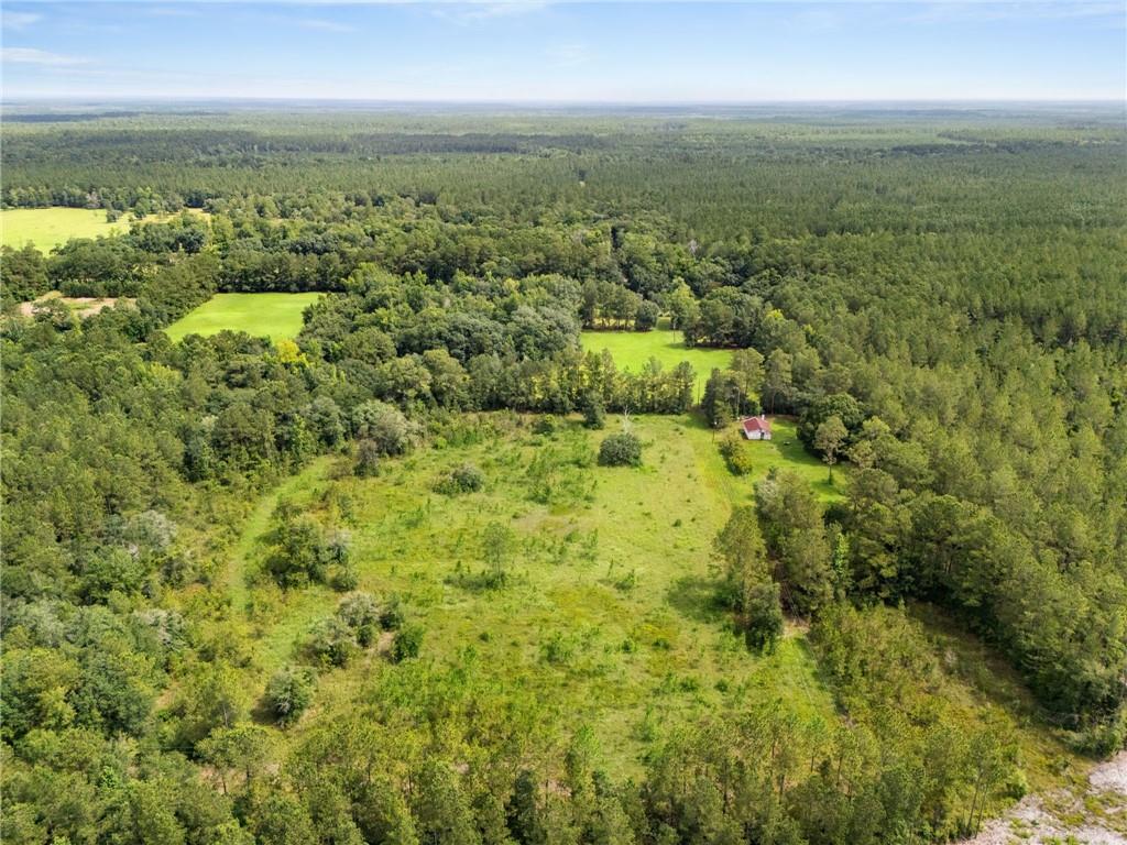 31818 Putt Moran Loop Lacombe, LA 70445 - Photo 14 of 19