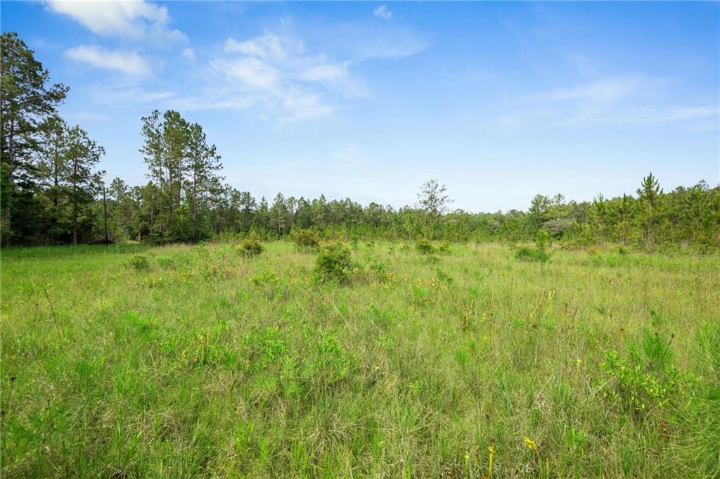 31818 Putt Moran Loop Lacombe, LA 70445 - Photo 6 of 19