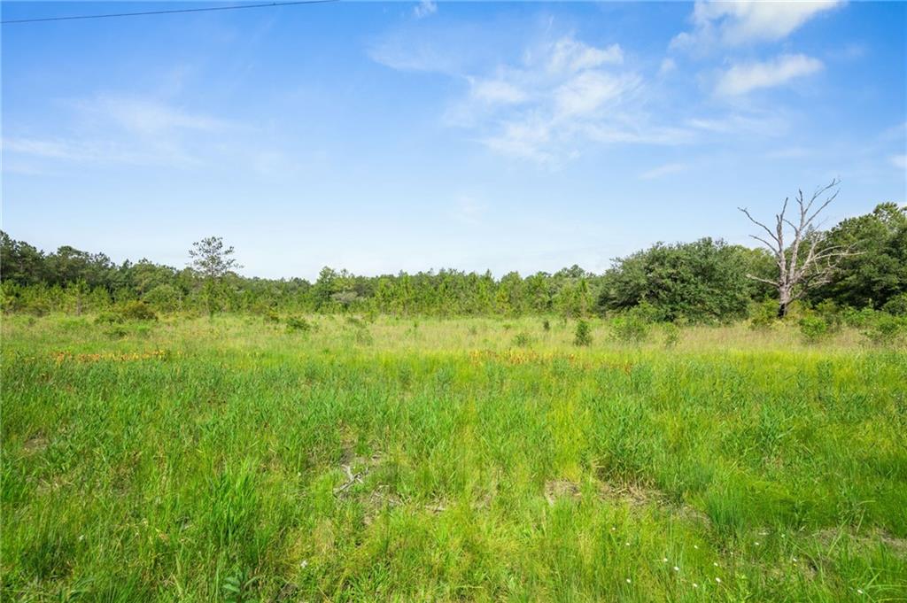 31818 Putt Moran Loop Lacombe, LA 70445 - Photo 10 of 19