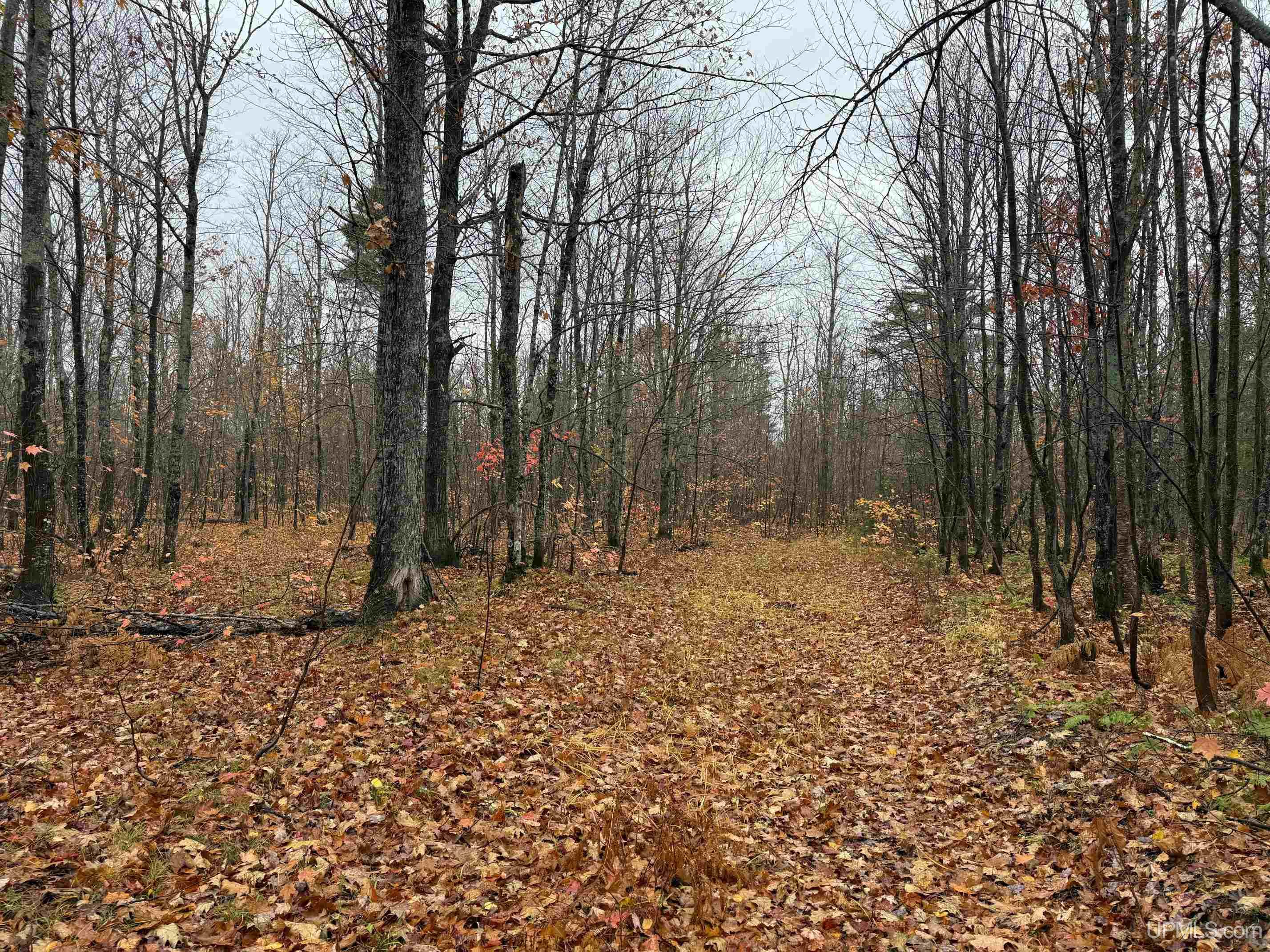 Tbdg Off Winona Road Toivola, MI 49965 - Photo 11 of 14 Gallery Image 11