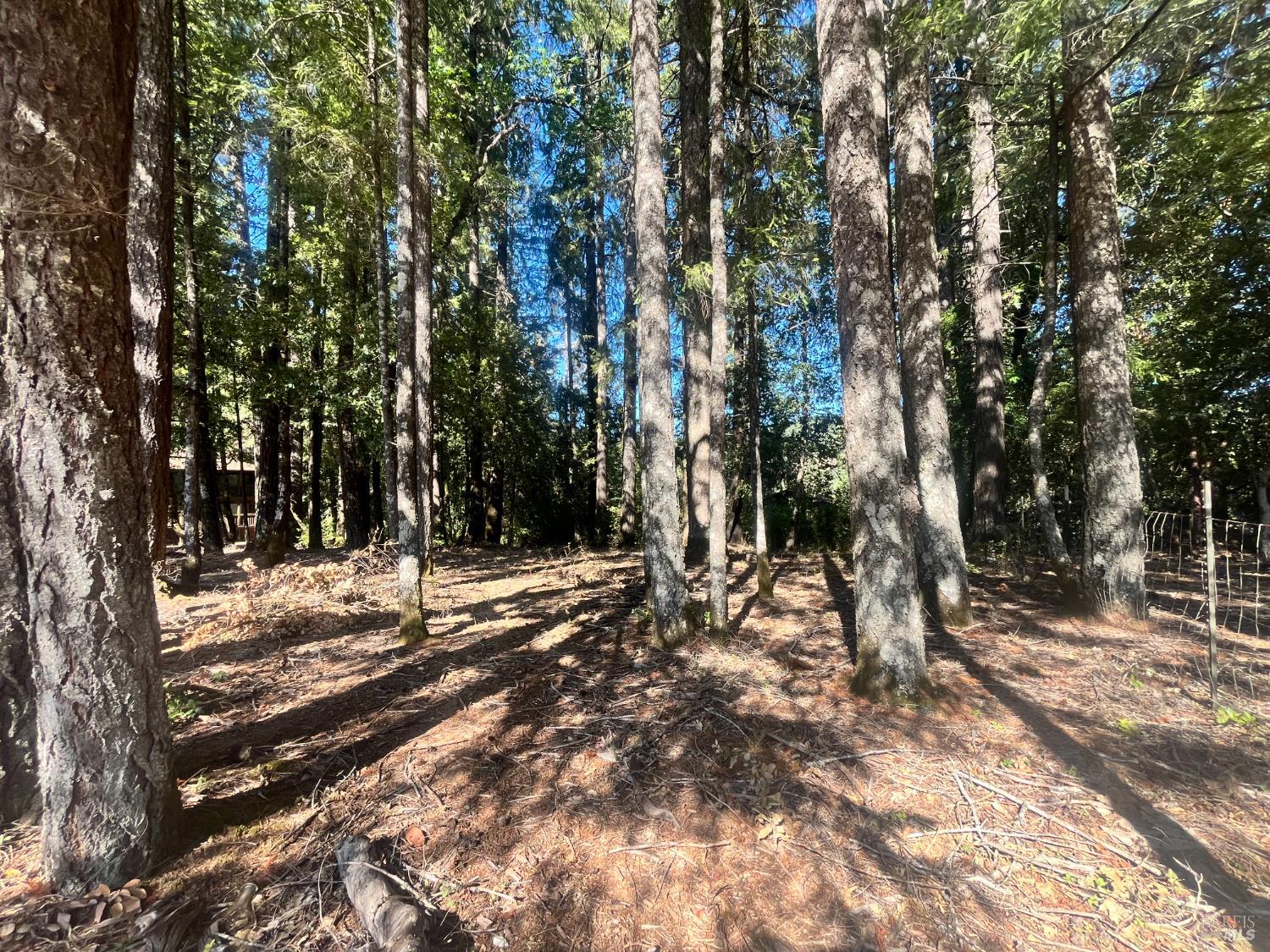 25201 Sherwood Road Willits, CA 95490 - Photo 3 of 5