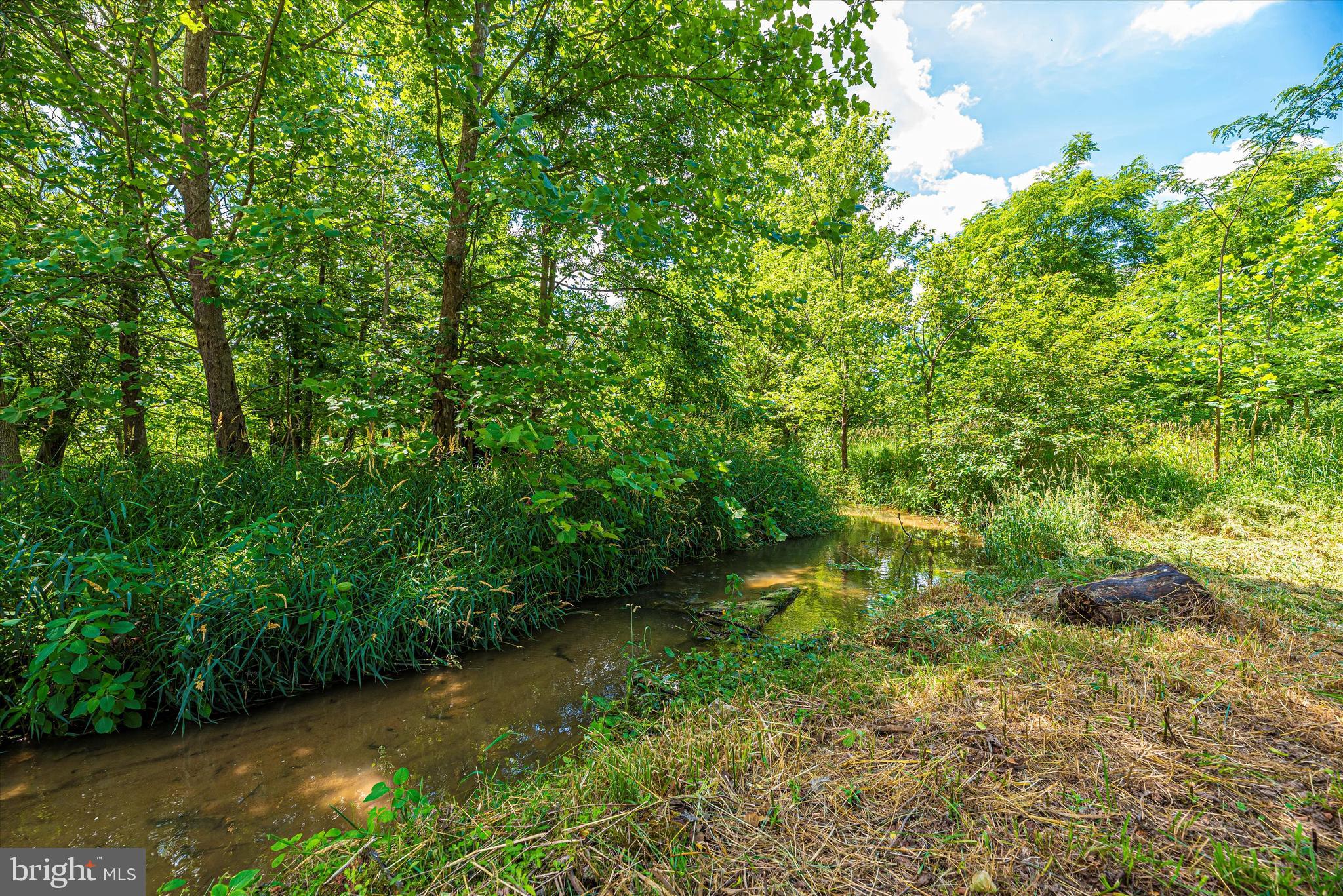 13731 Kretsinger Road Smithsburg, MD 21783 - Photo 50 of 59 Stream