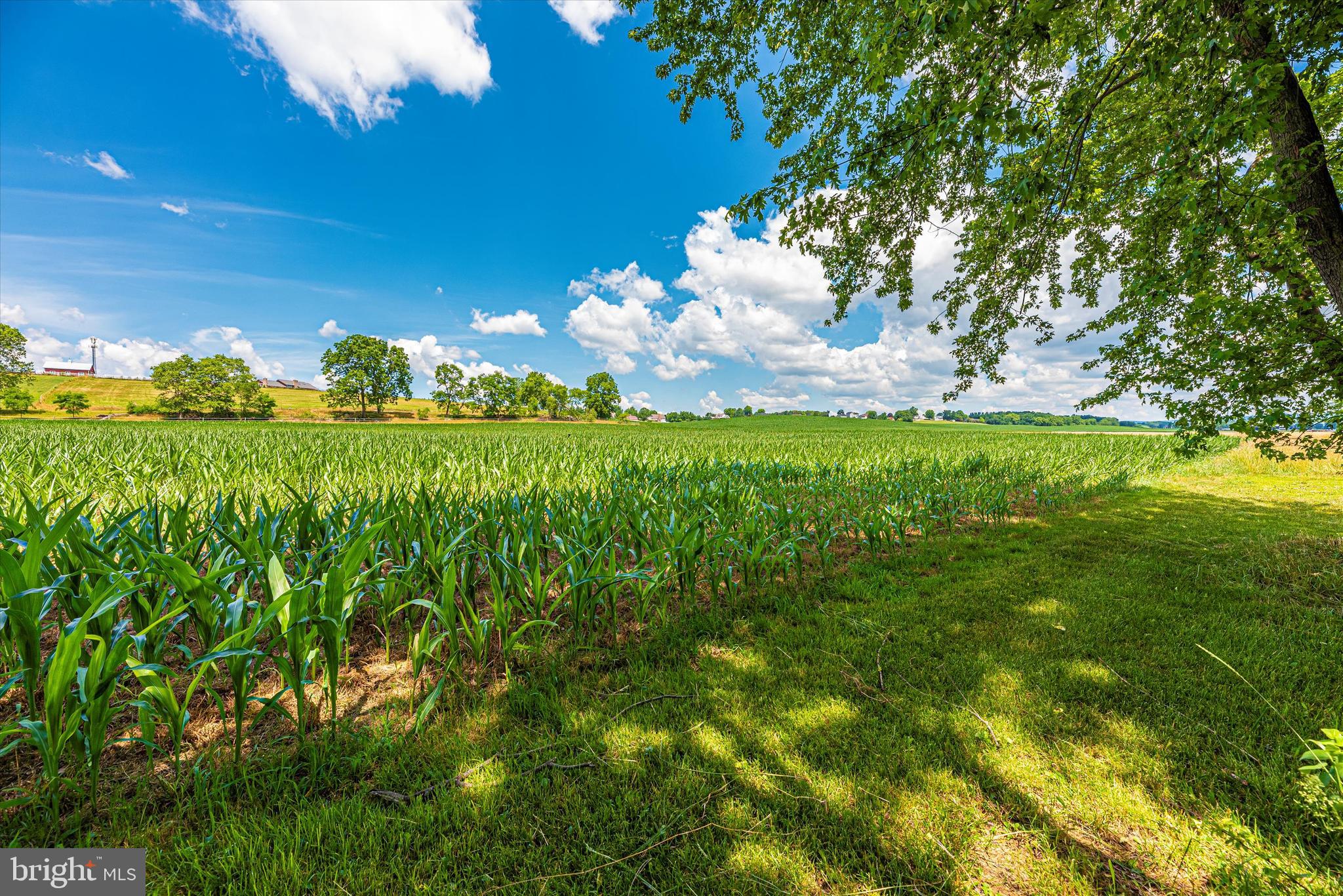 13731 Kretsinger Road Smithsburg, MD 21783 - Photo 58 of 59 View