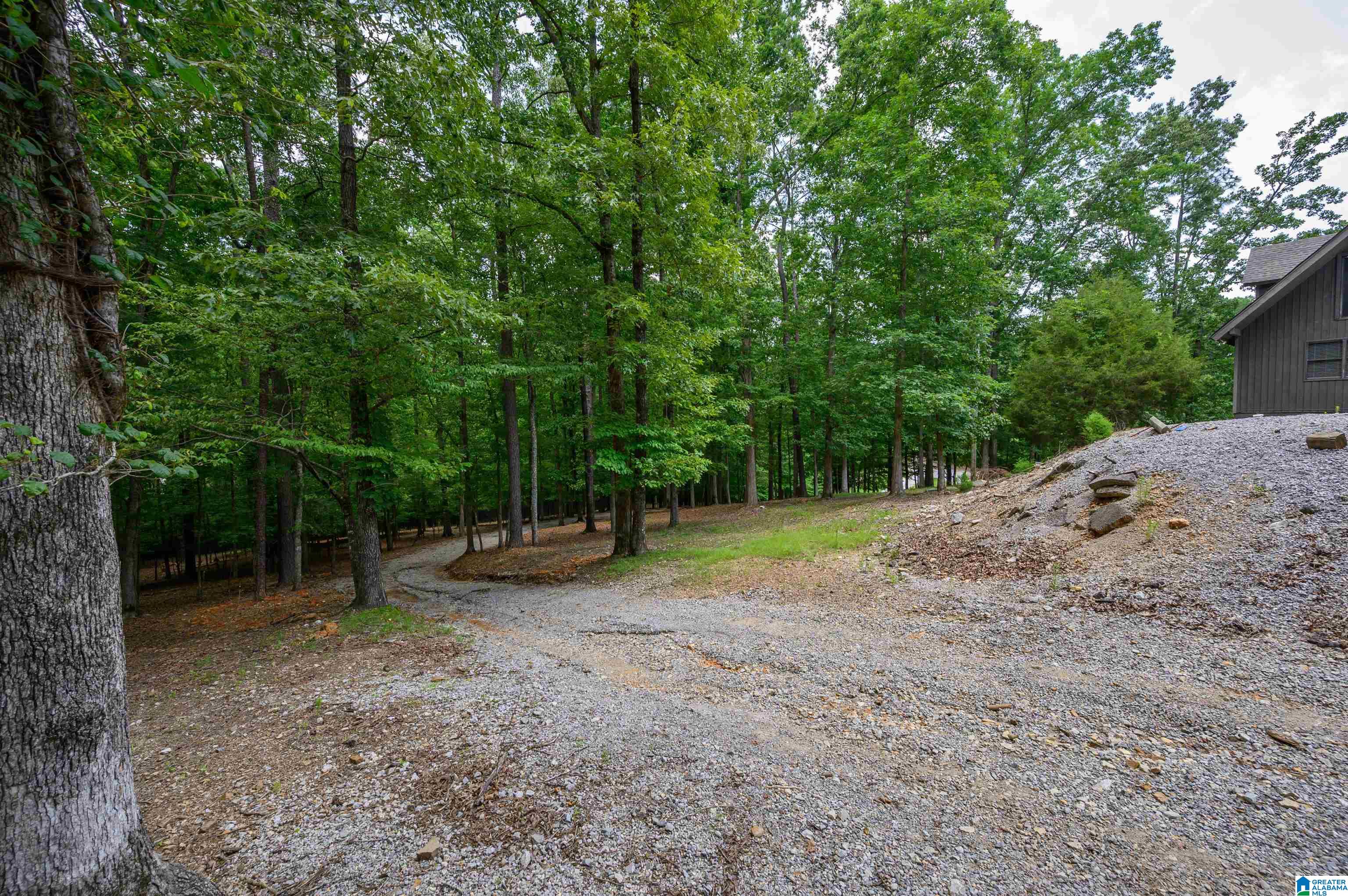 517 Hodgens Road Chelsea, AL 35043 - Photo 56 of 79