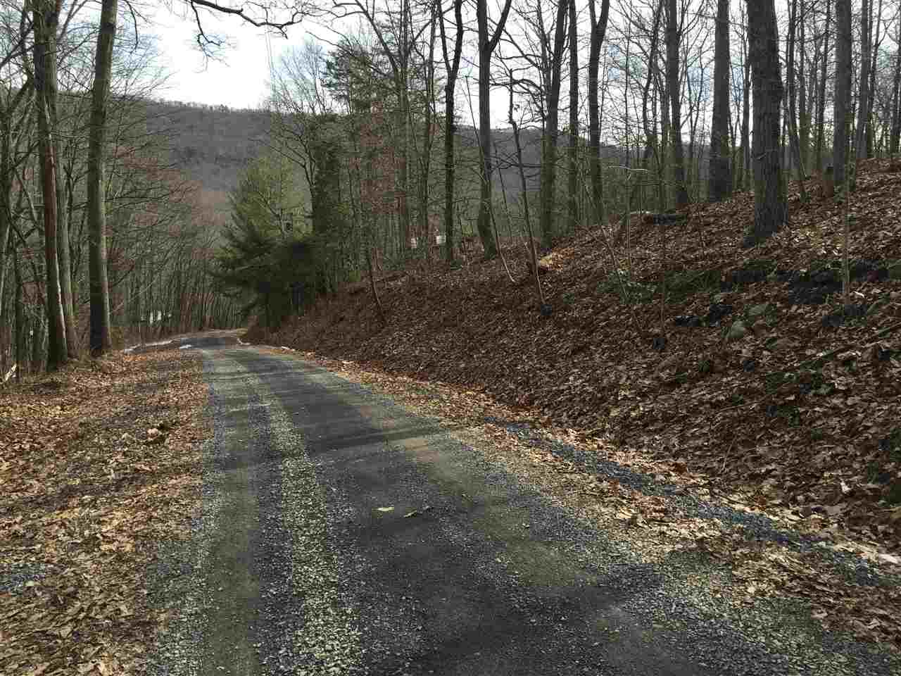 0 Risk Road Mount Jackson, VA 22842 - Photo 4 of 11 a view of backyard with green space