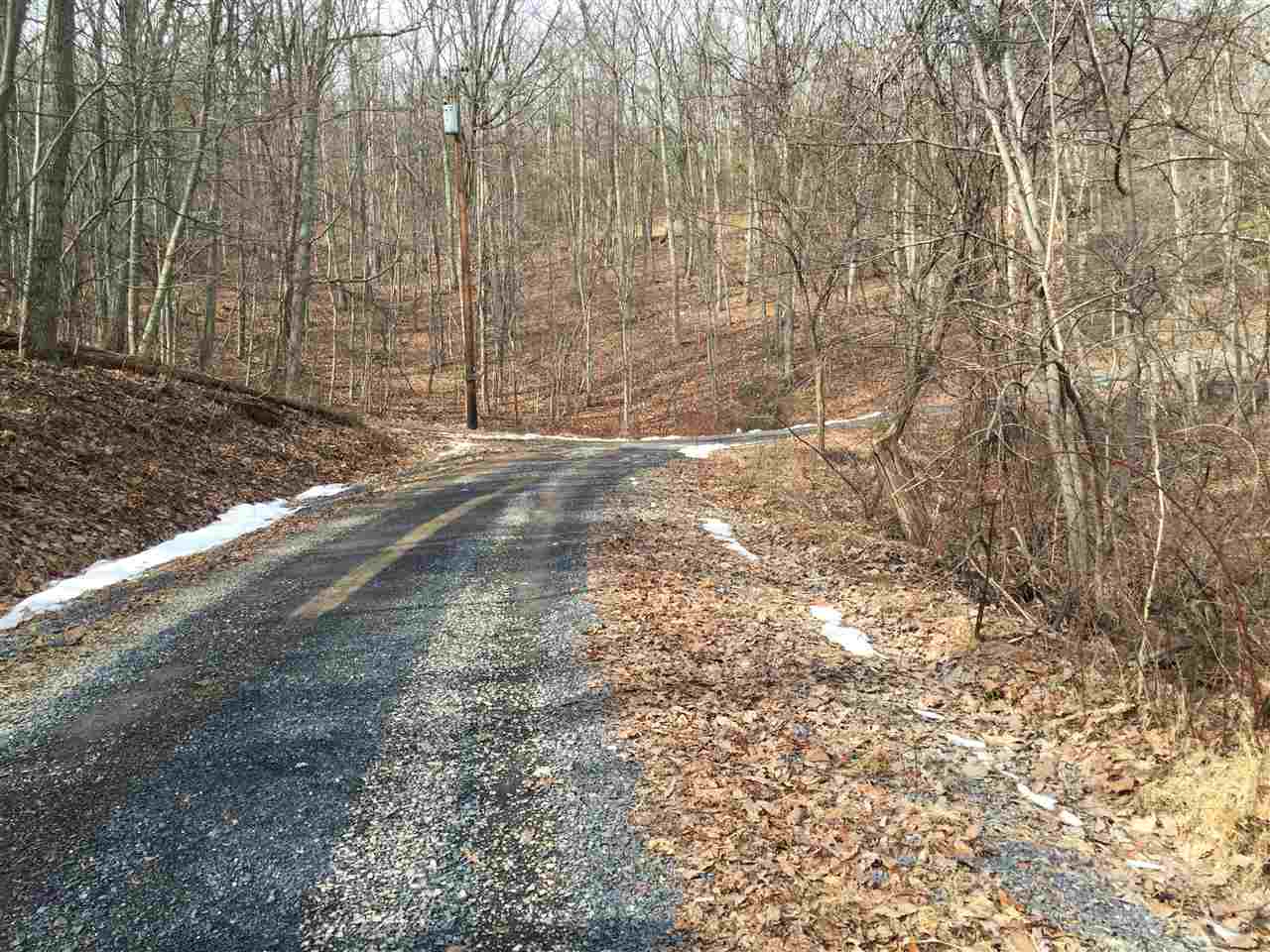 0 Risk Road Mount Jackson, VA 22842 - Photo 5 of 11 a view of a yard with large trees
