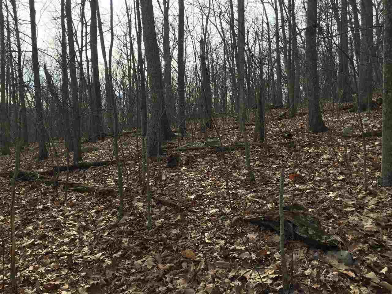 0 Risk Road Mount Jackson, VA 22842 - Photo 6 of 11 a view of outdoor space with lots of trees