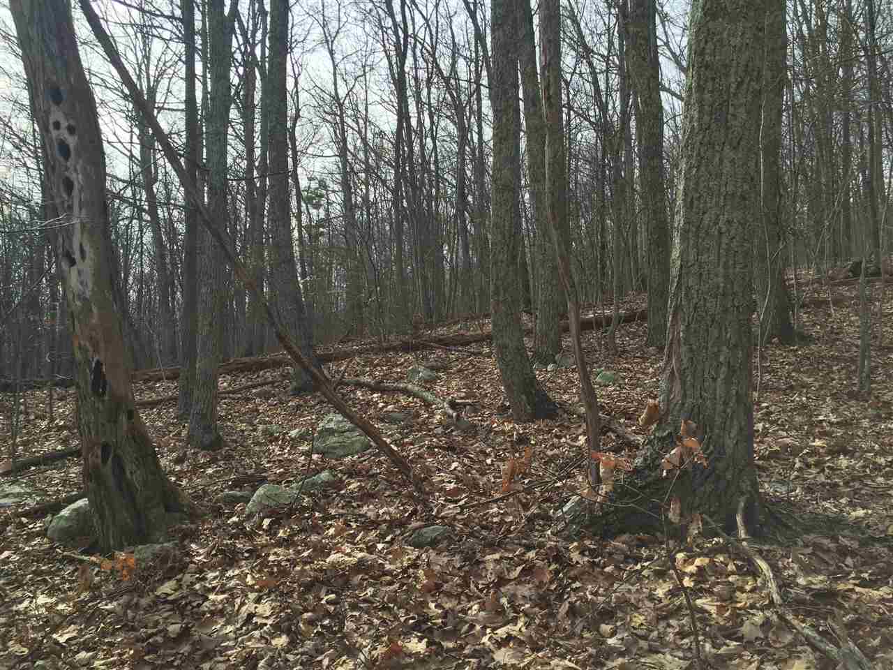 0 Risk Road Mount Jackson, VA 22842 - Photo 7 of 11